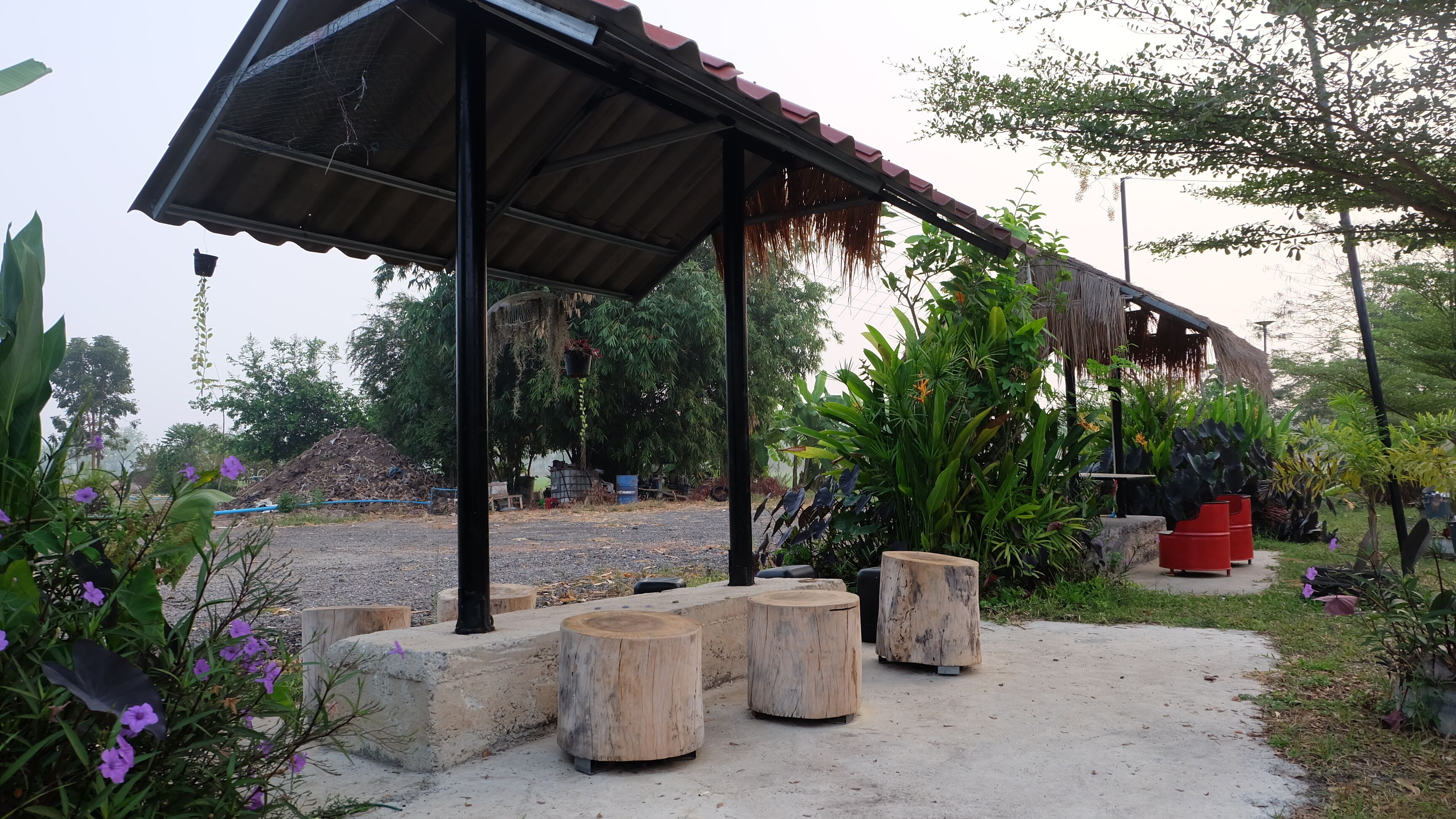 Check-in Resort