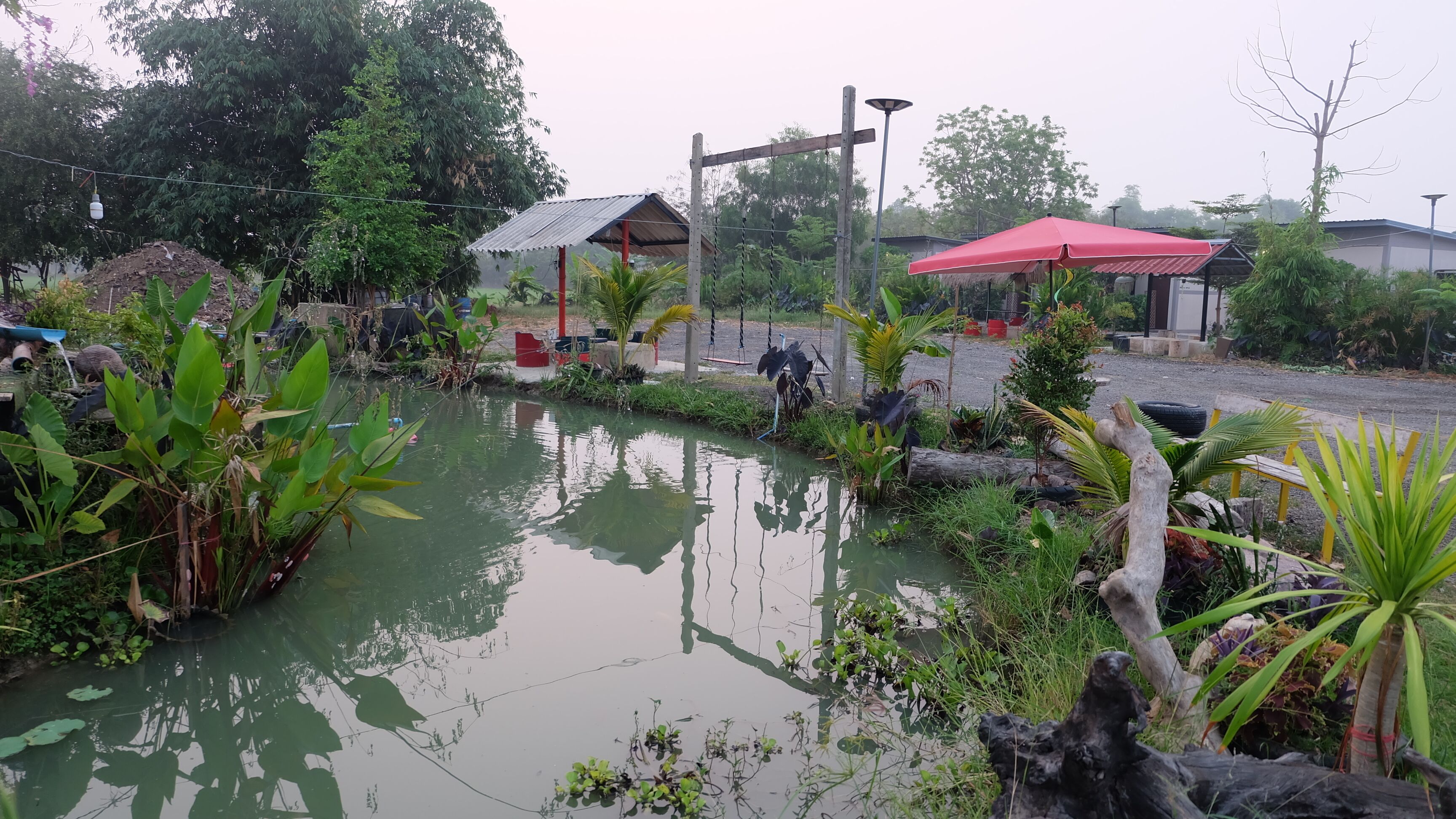 Check-in Resort