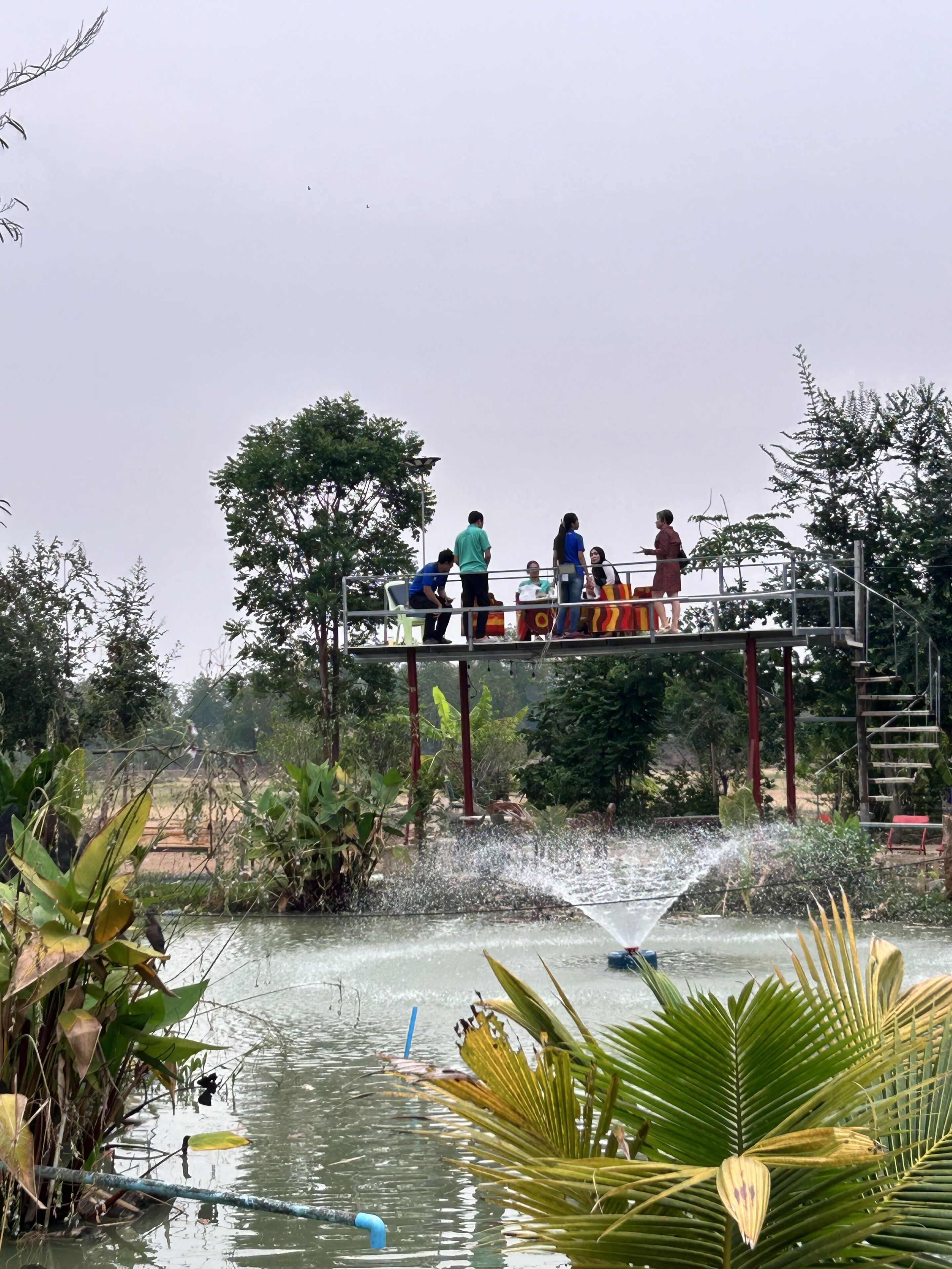 Check-in Resort