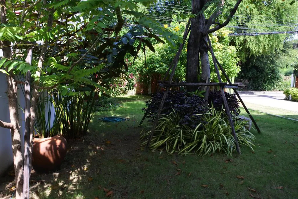 Me And Tree Mansion