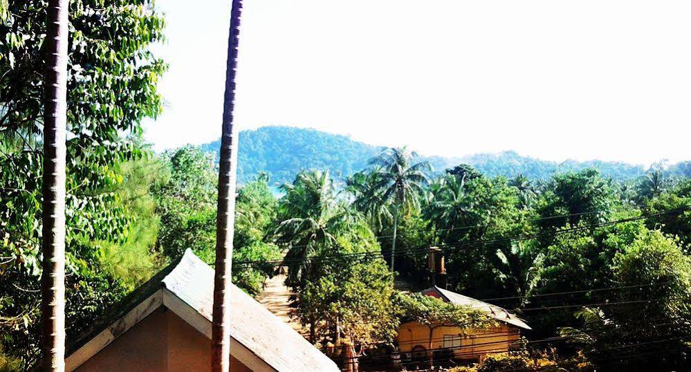 Coconut Garden