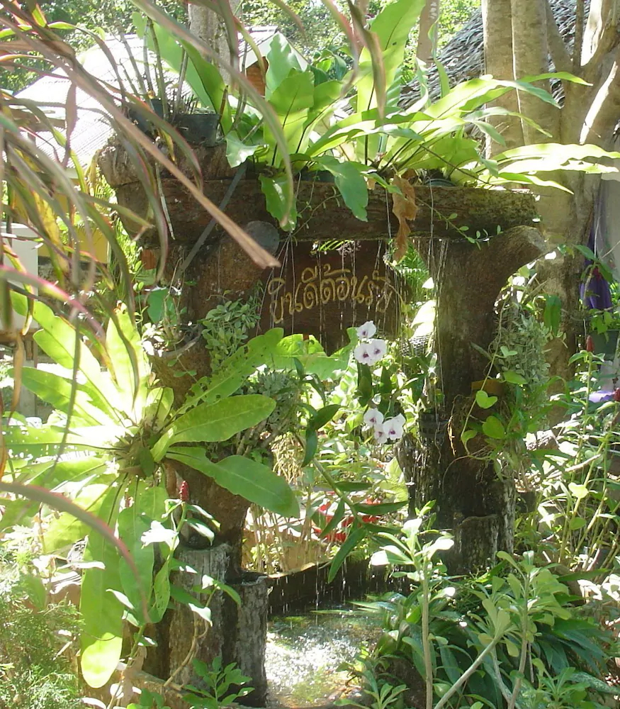 Faye Orchid Resort