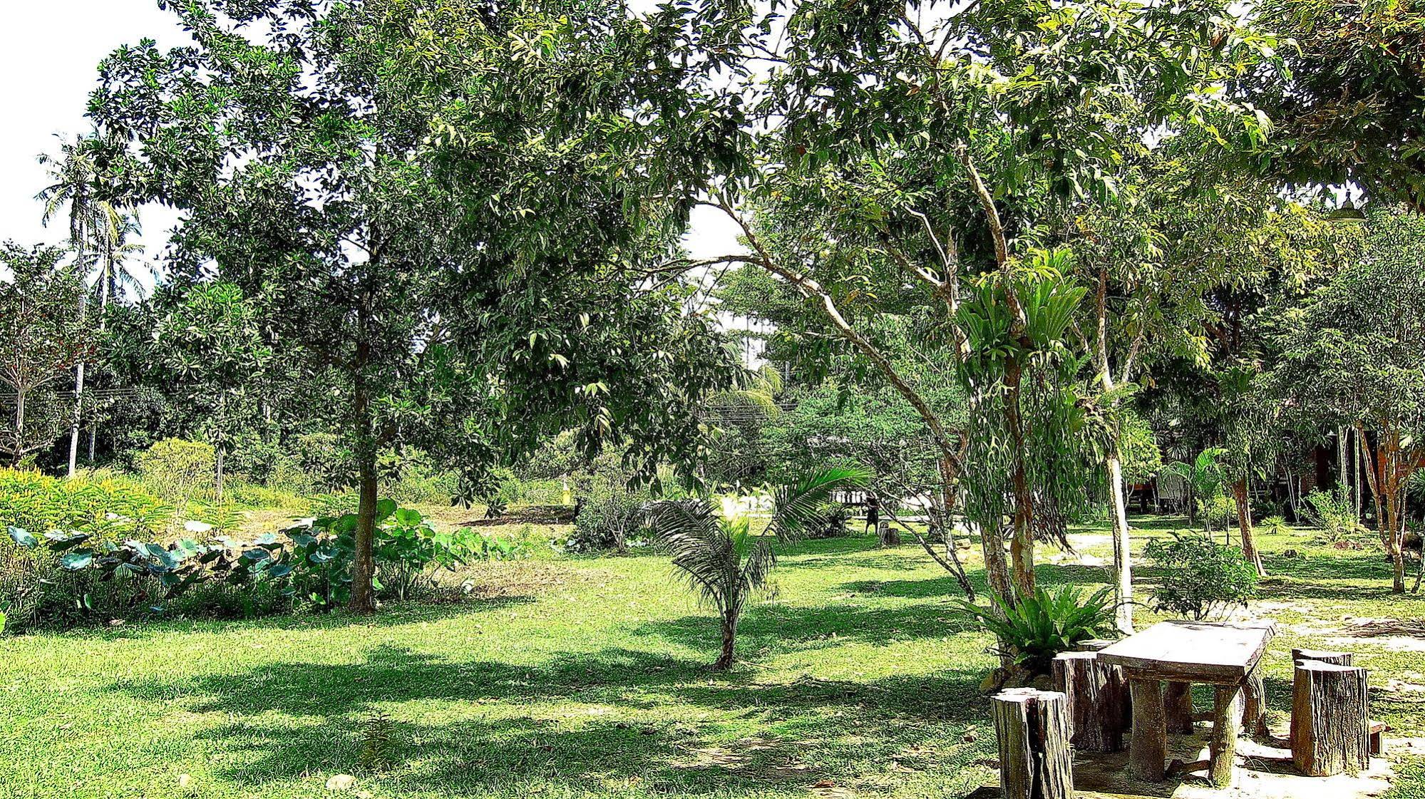 Baan Bua Cottage