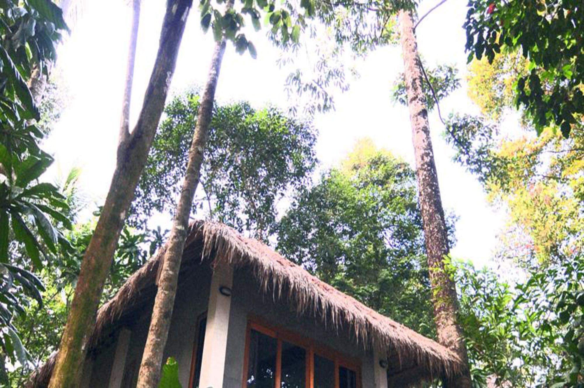 Little Moon Villa