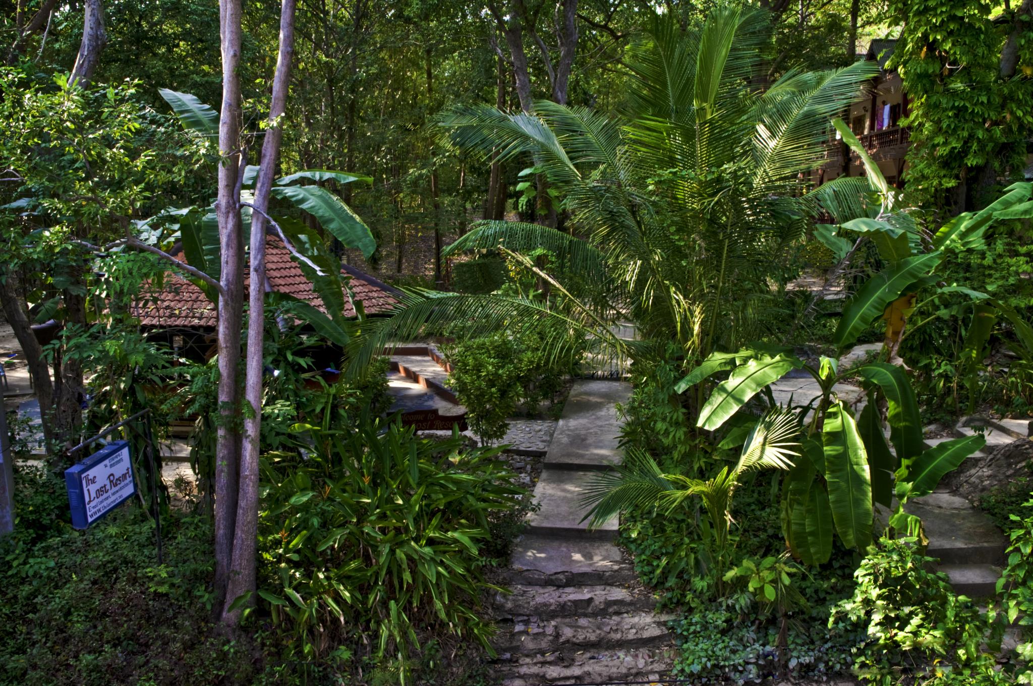 The Lost Resort
