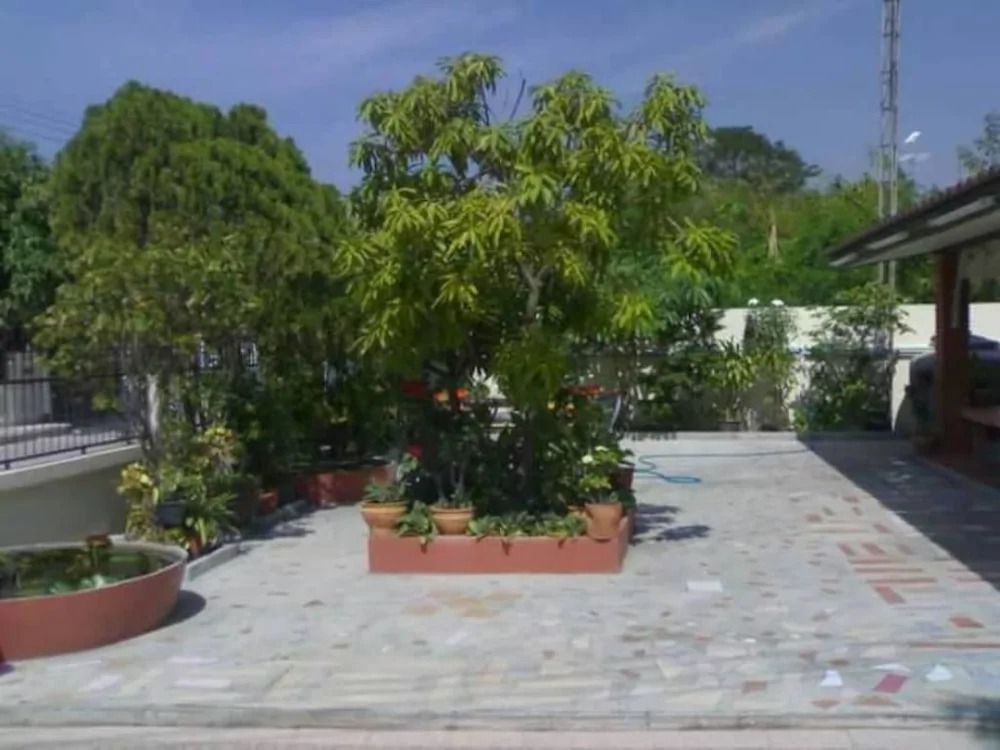 Sunflower Guest House
