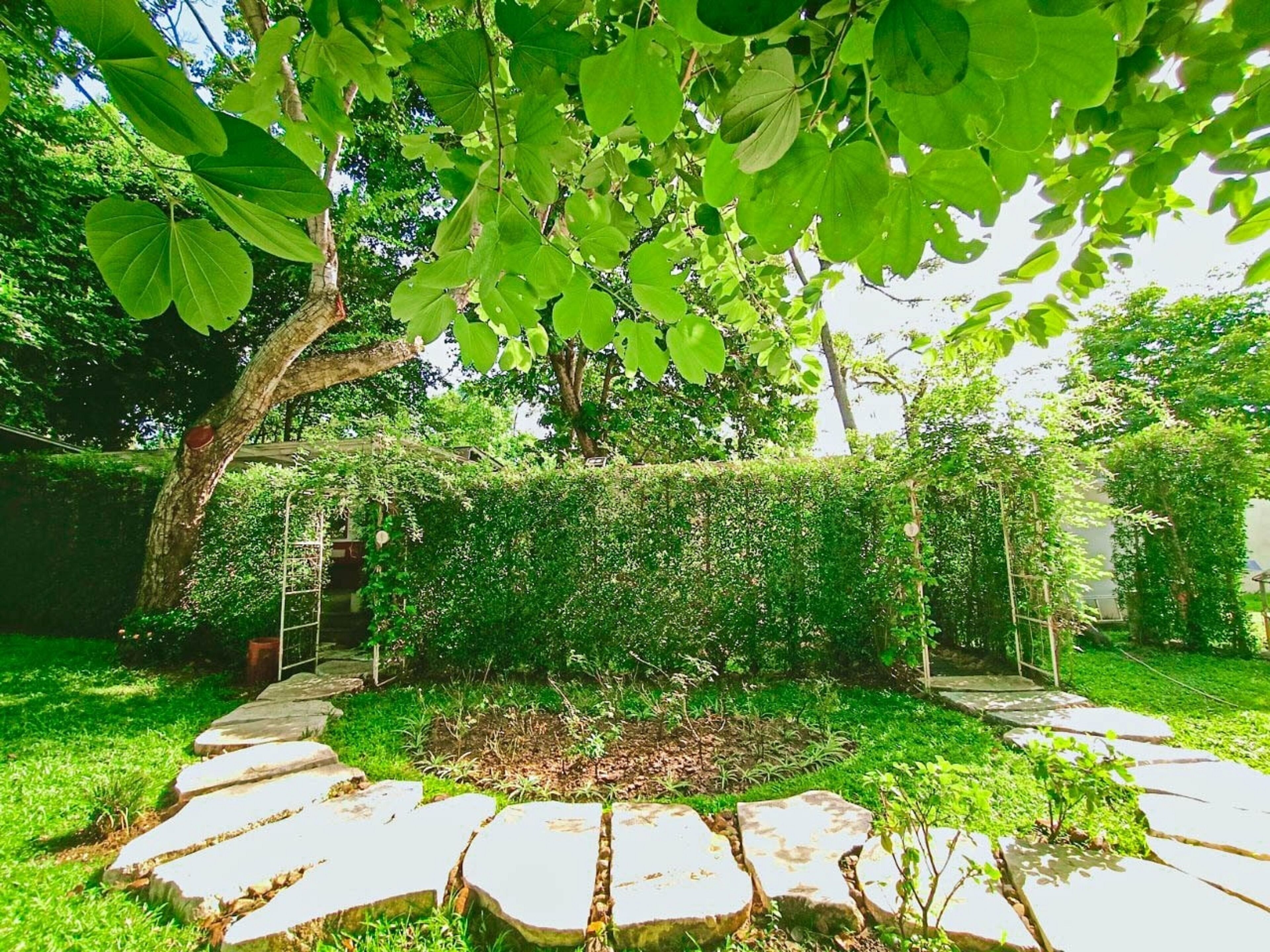 Resort Huangchui Baan Phu Khao