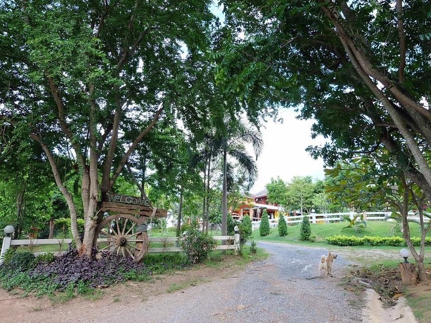 Tongta Homestay