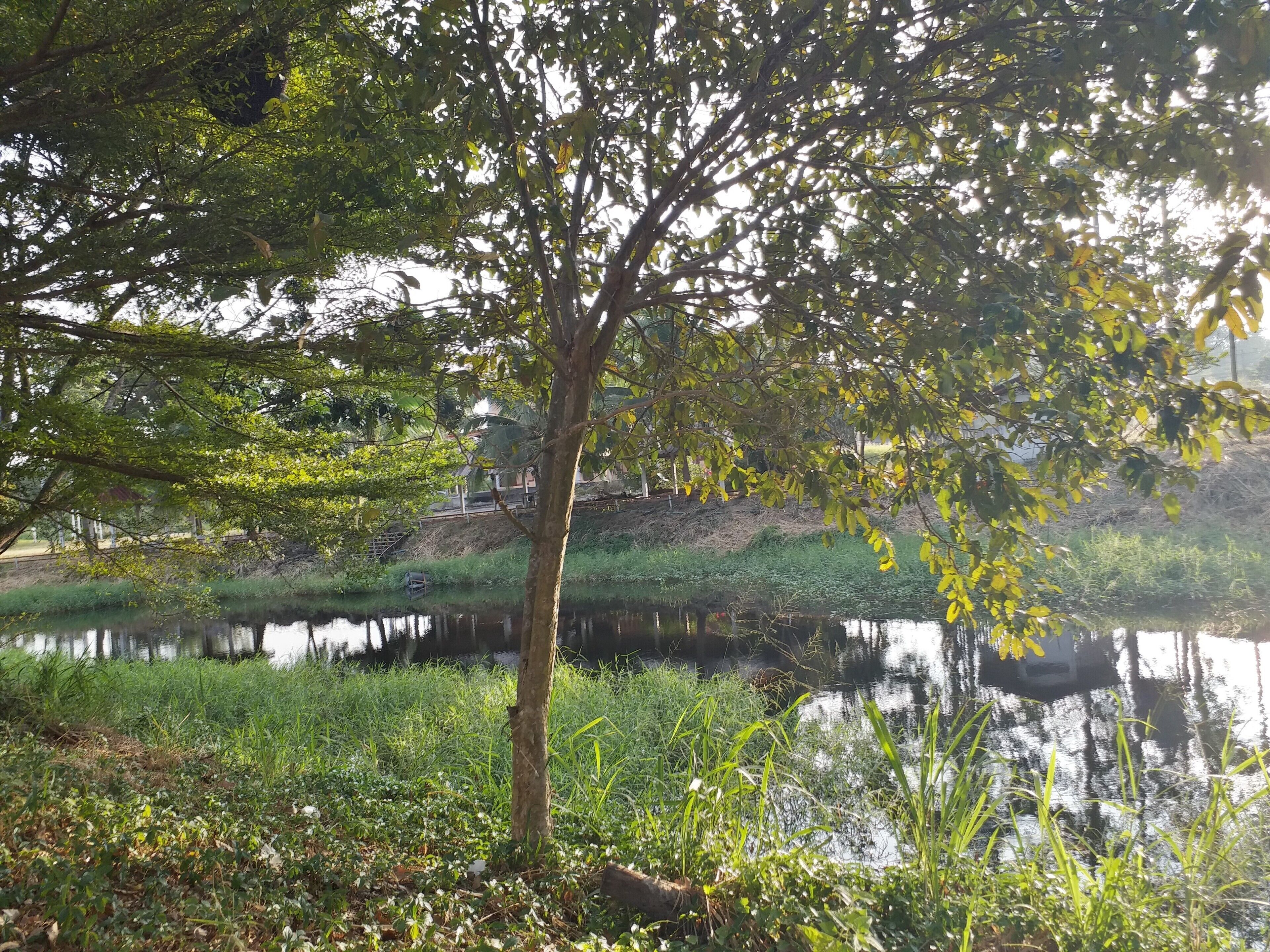 Thanawit Resort