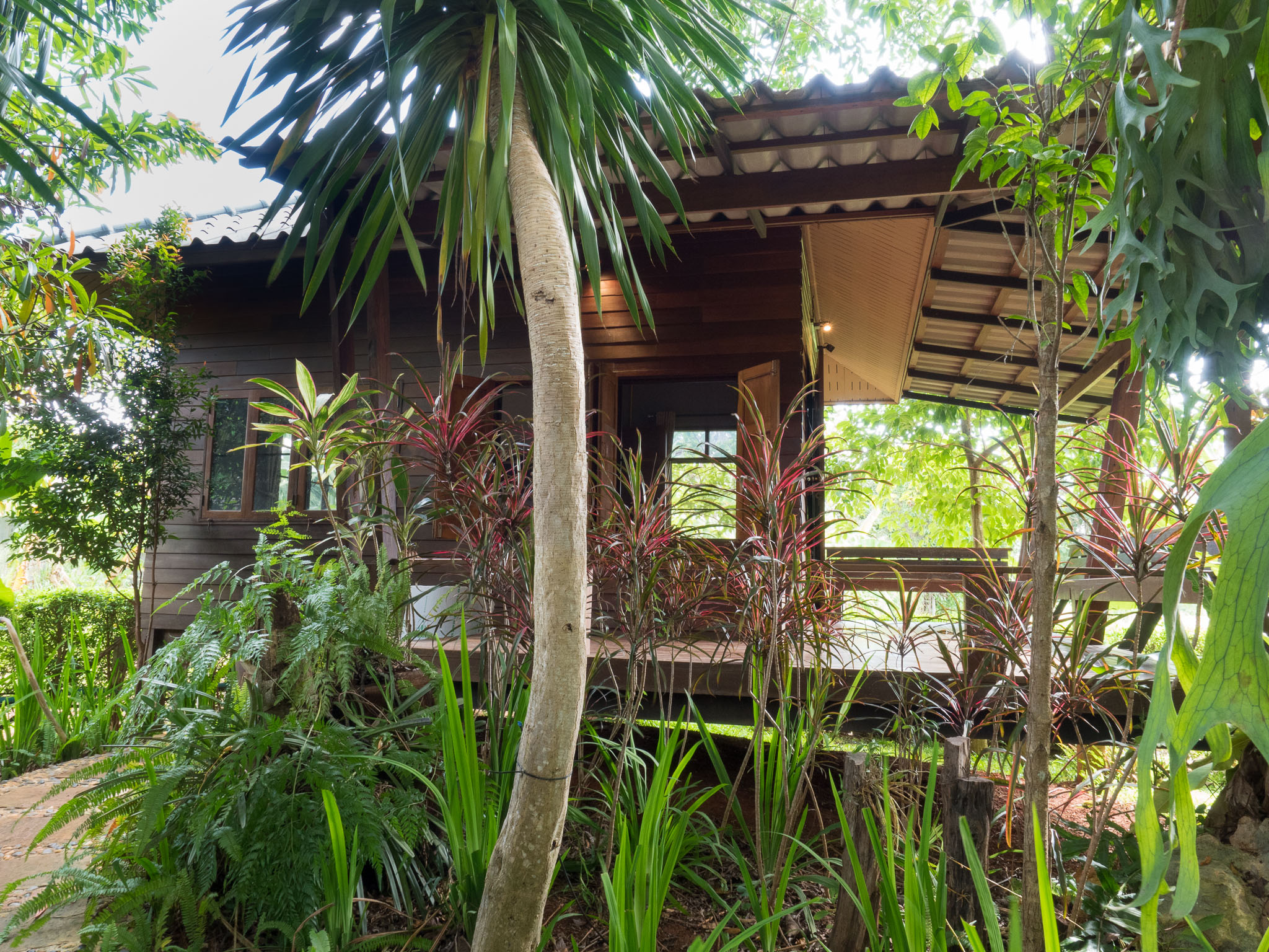 The Frog Khao Yai Resort