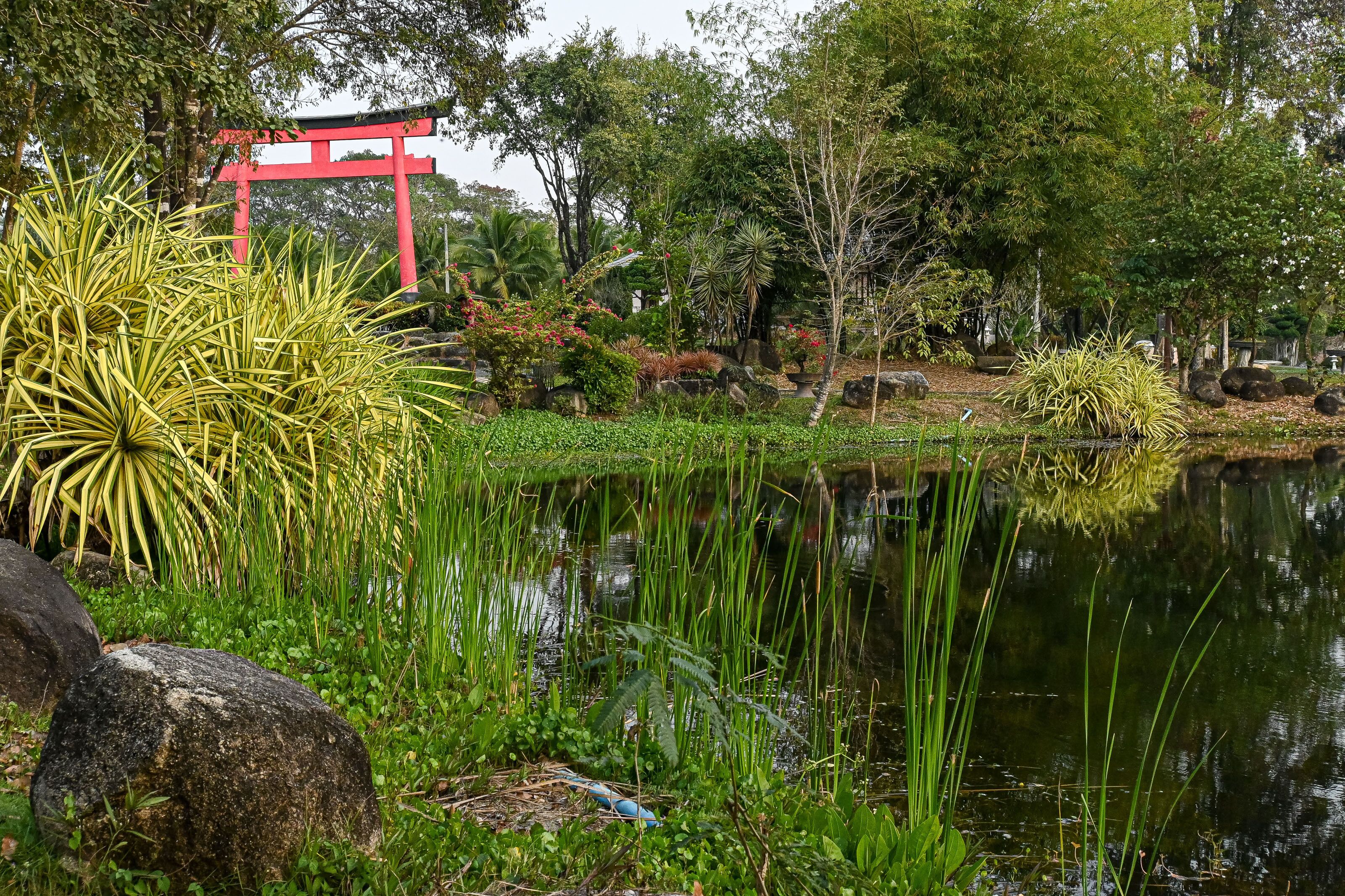 Suanpung Bonsai Village