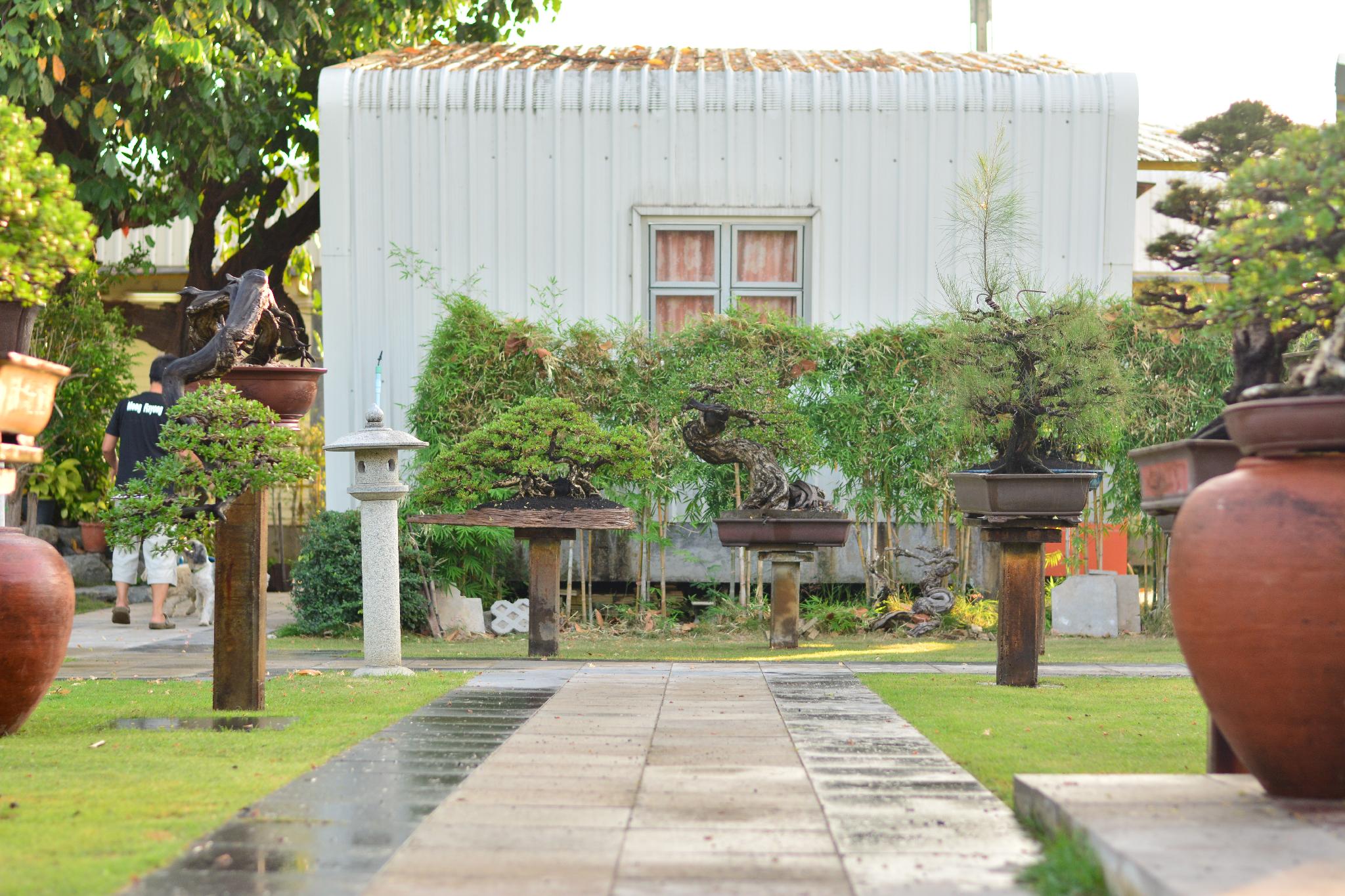 18 Bonsai Garden Resort