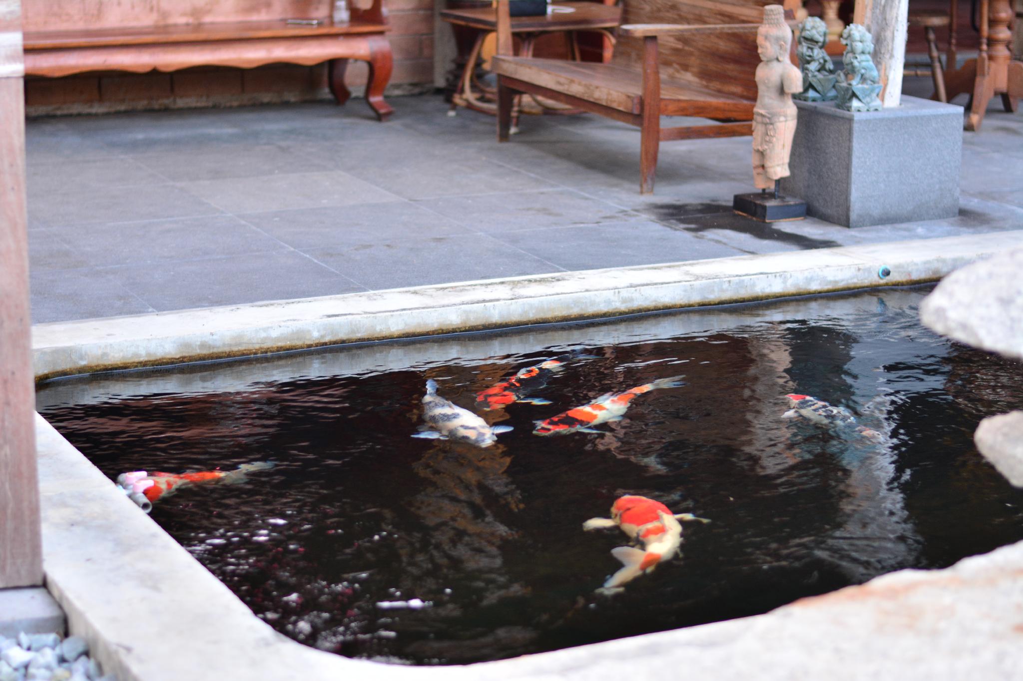 18 Bonsai Garden Resort
