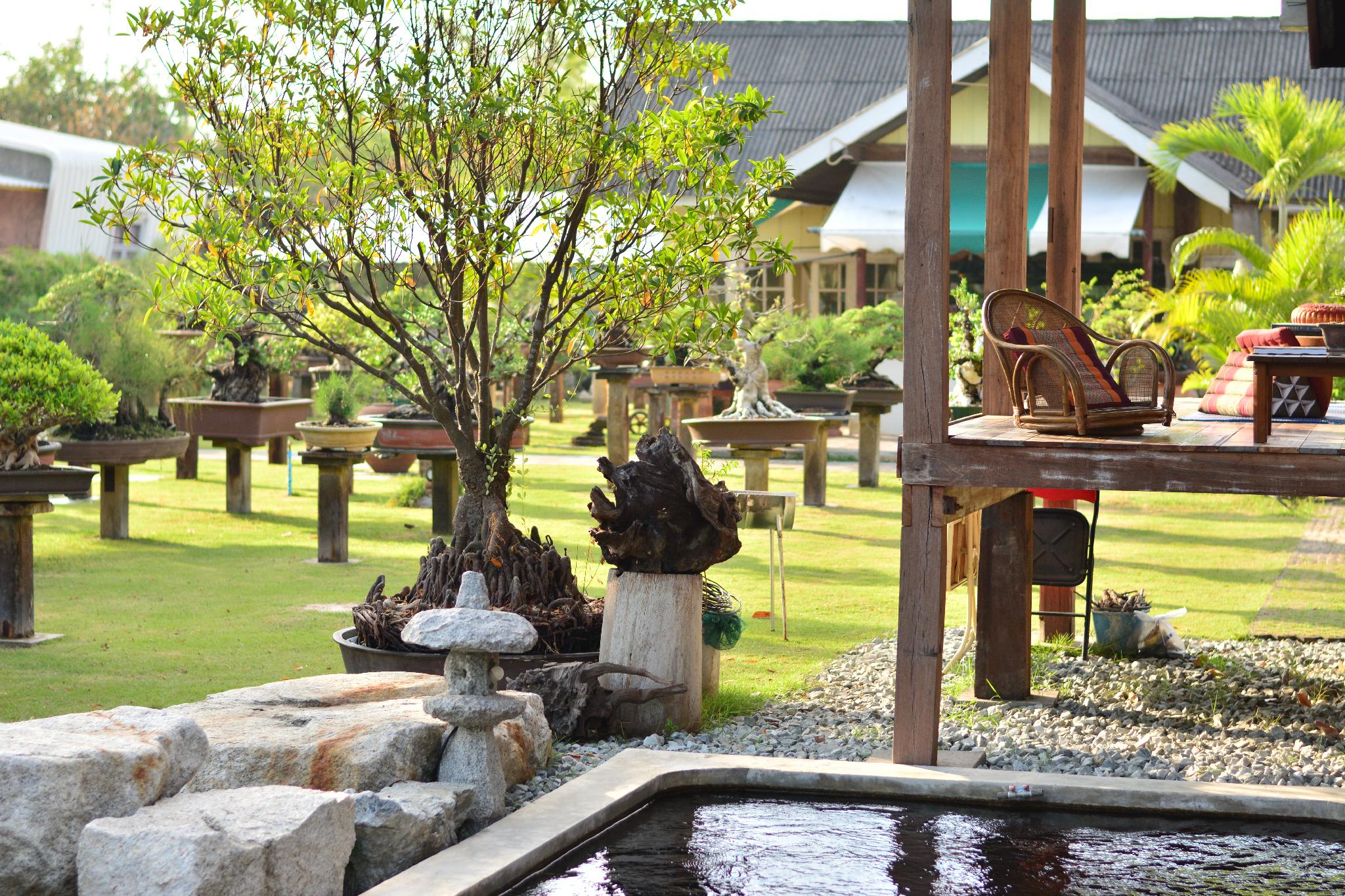 18 Bonsai Garden Resort