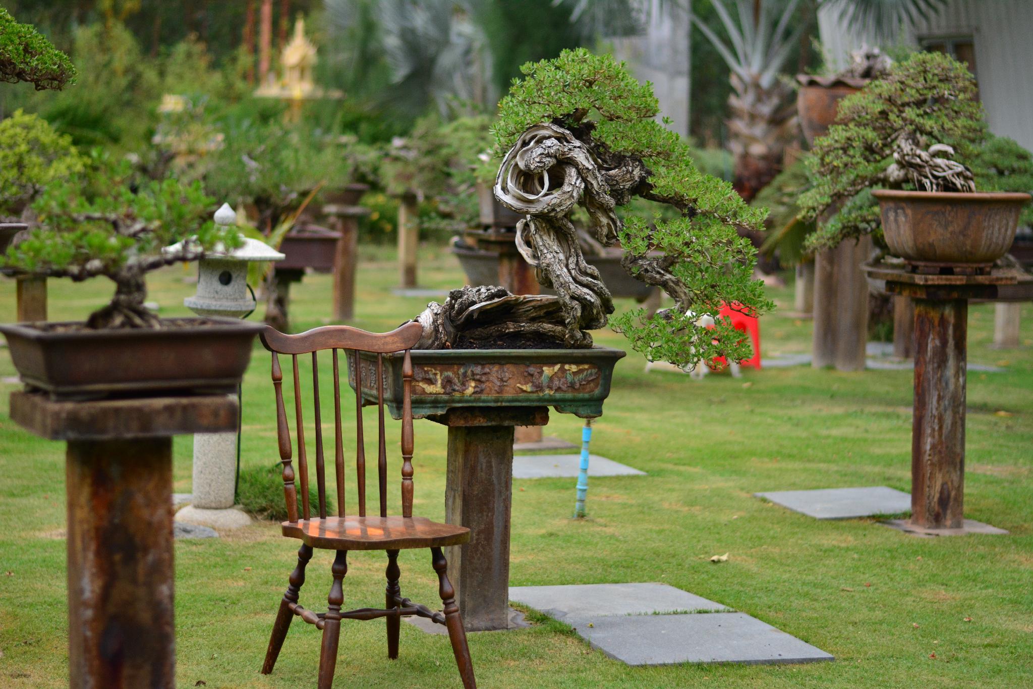 18 Bonsai Garden Resort