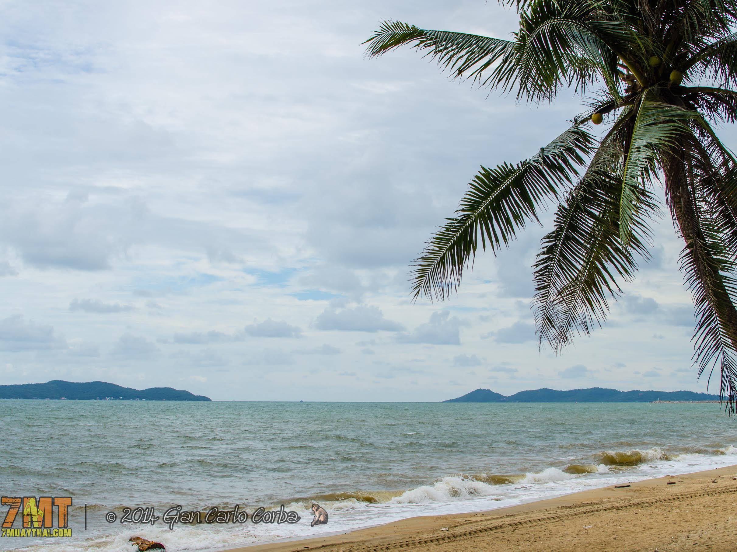 7 Muay Thai Gym And Beach Resort
