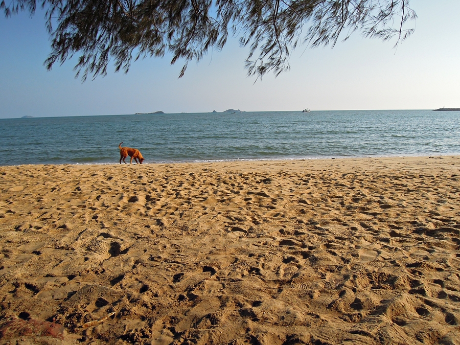 Duangtawan Beach Resort