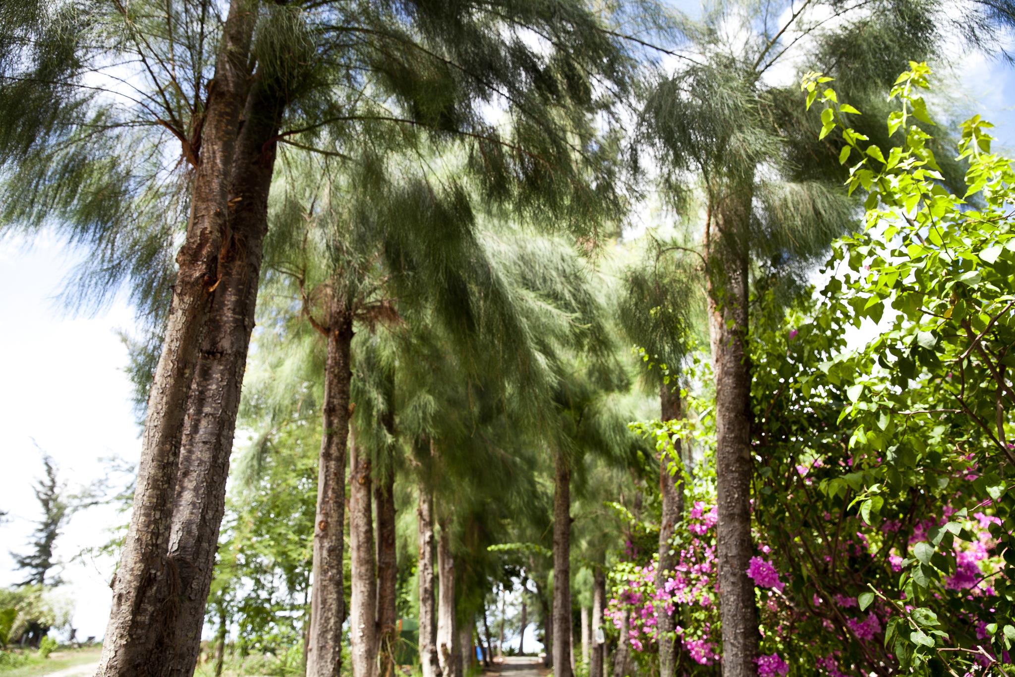Hadsangchan Resort
