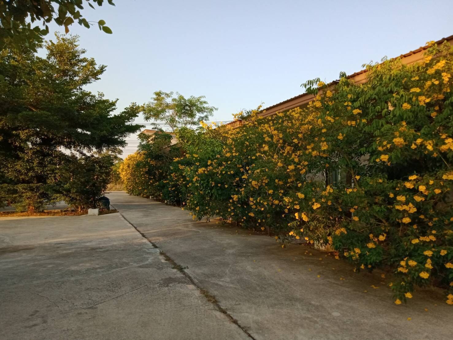 MaihomSailom Resort