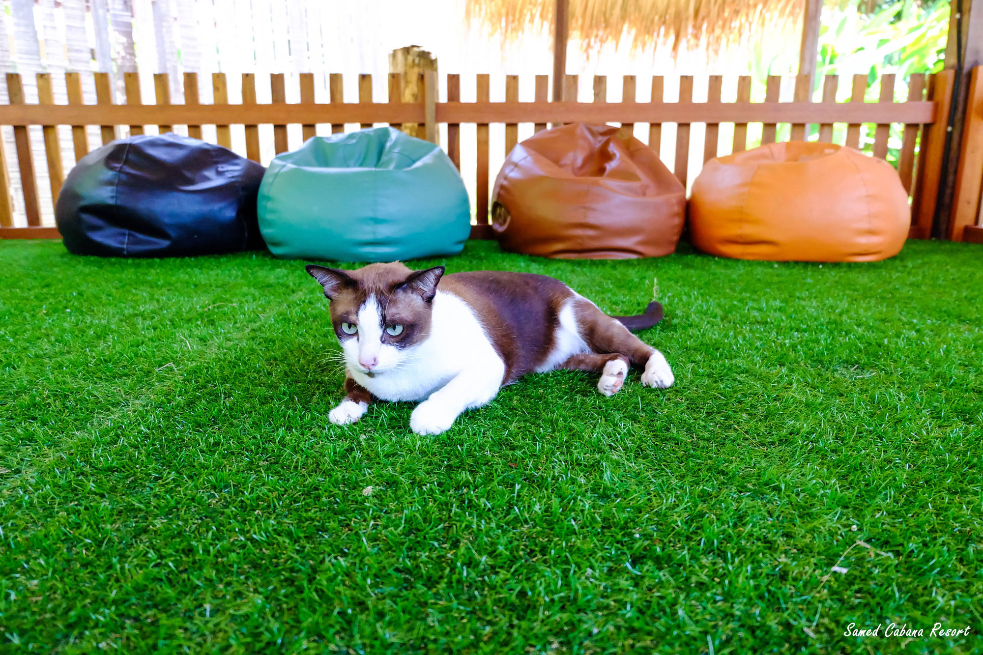 Samed Cabana Resort