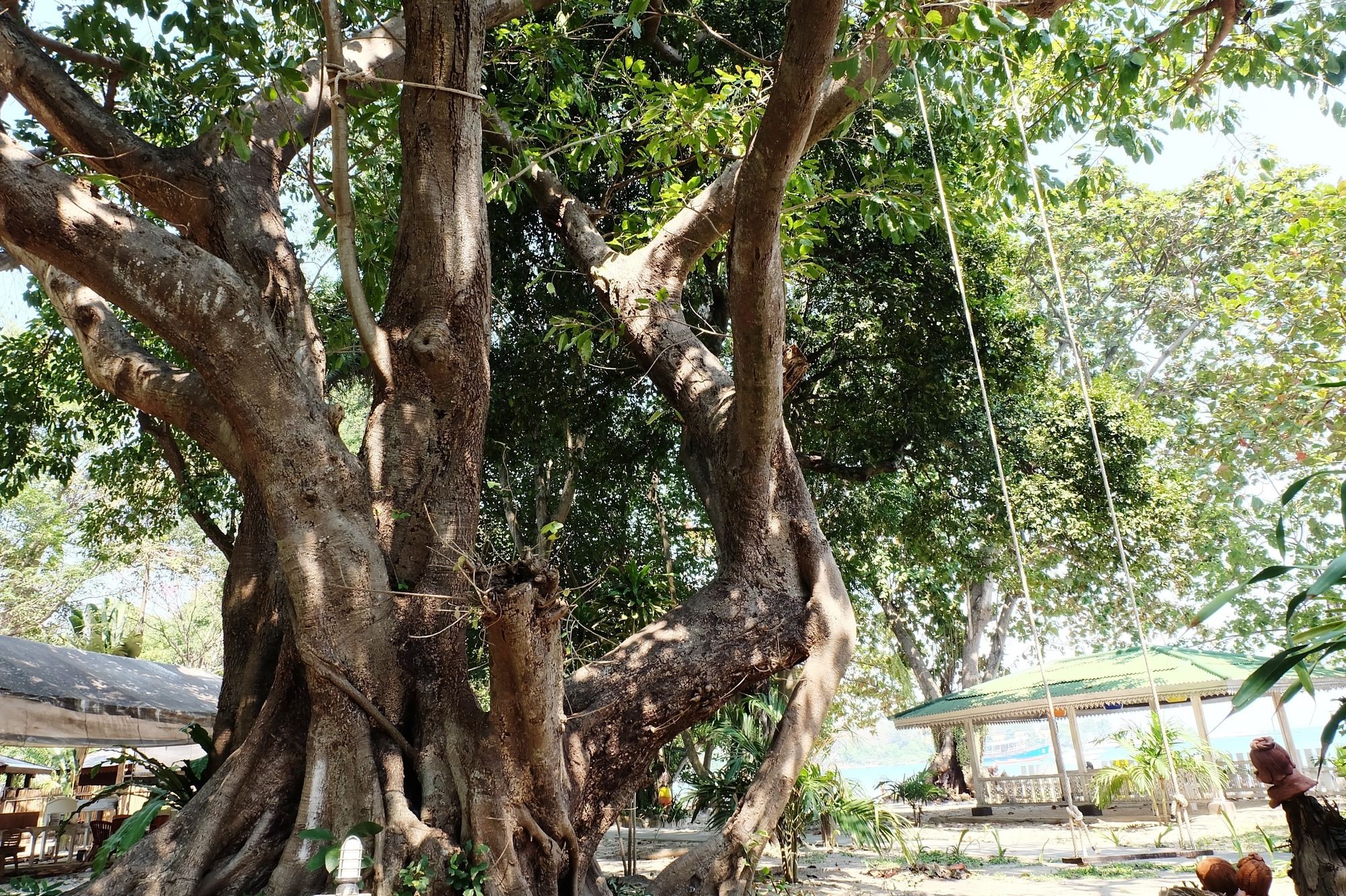 Vongdeuan Resort