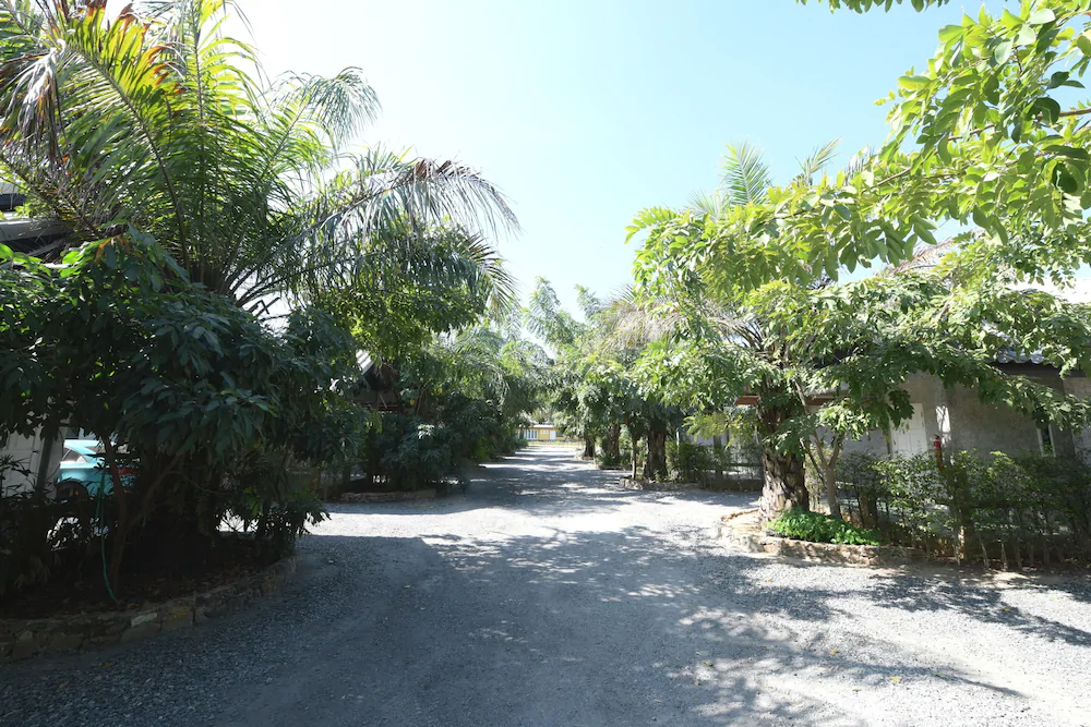 Waaina Resort by OYO Rooms