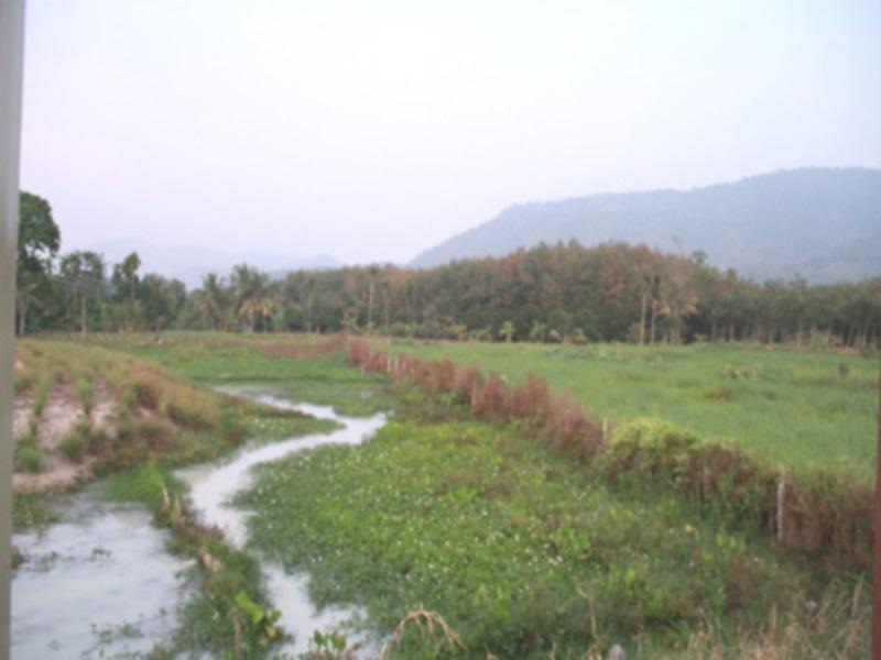 Yaida Country Resort