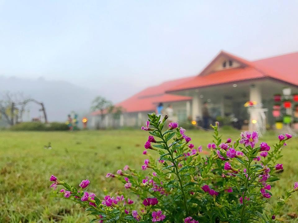 Kantika Resort