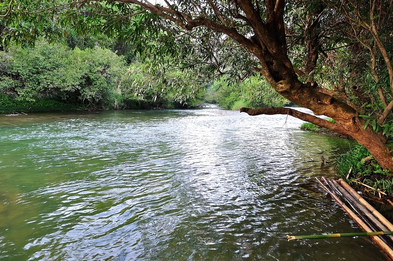 Kantika Resort