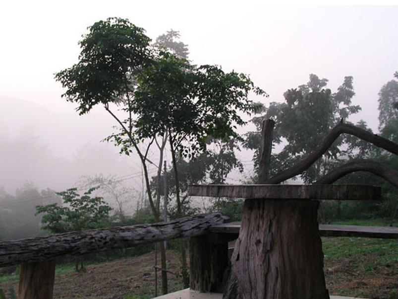 John Garden Home