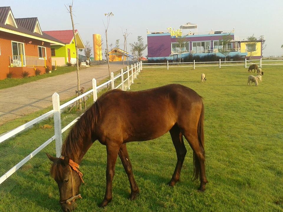 Rai Phurak Resort