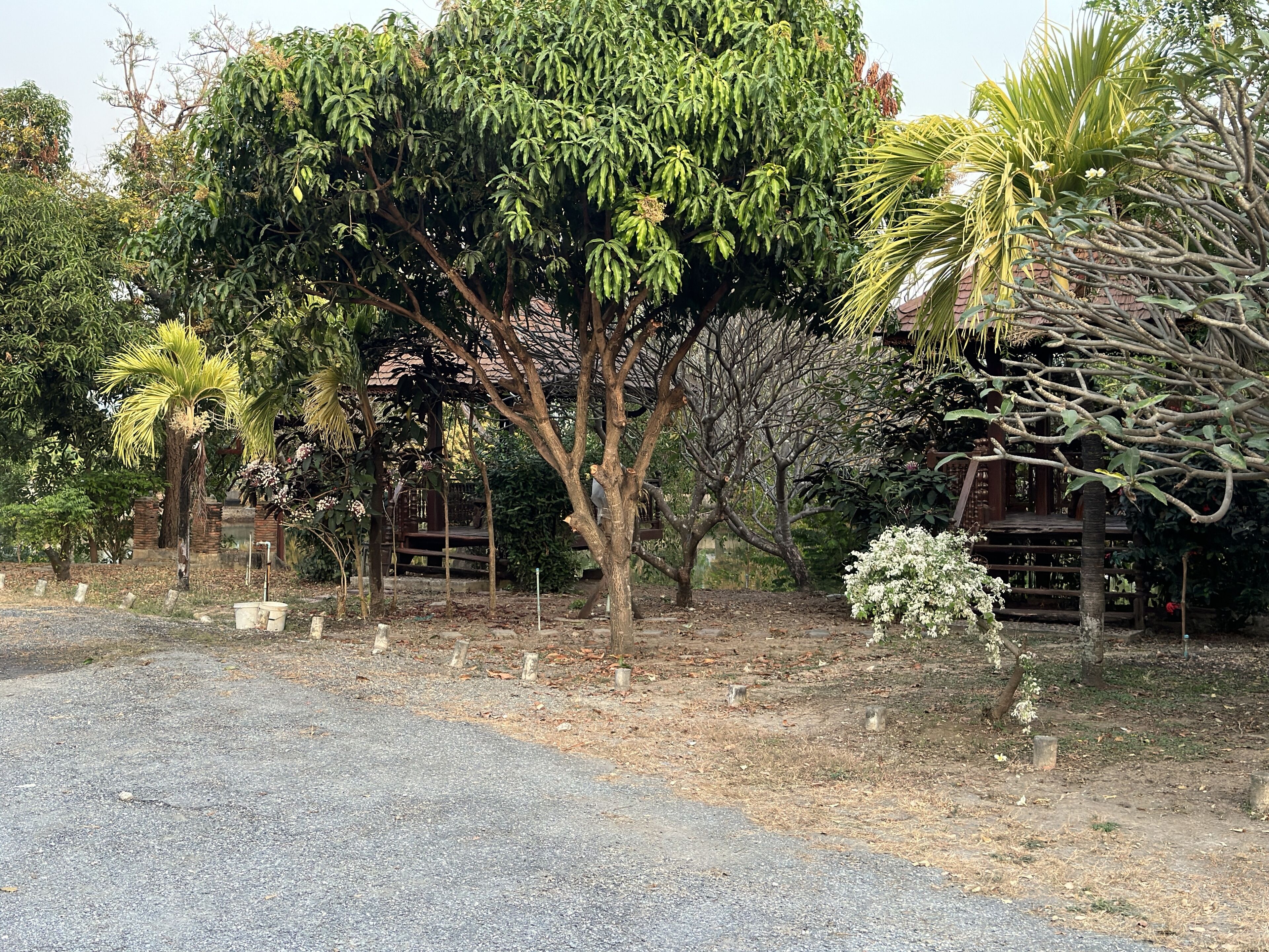 Maingam Resort