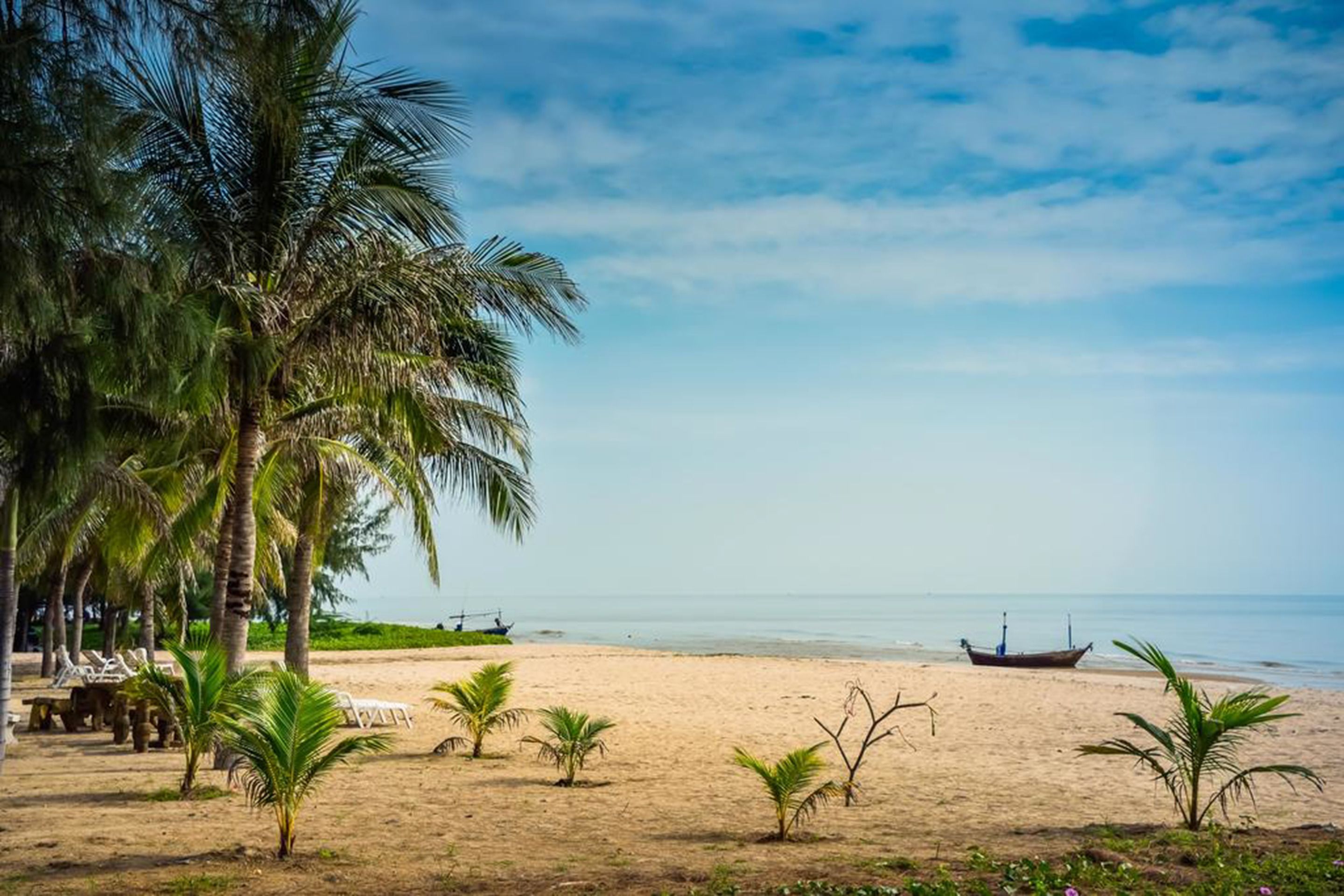 Beach Palace