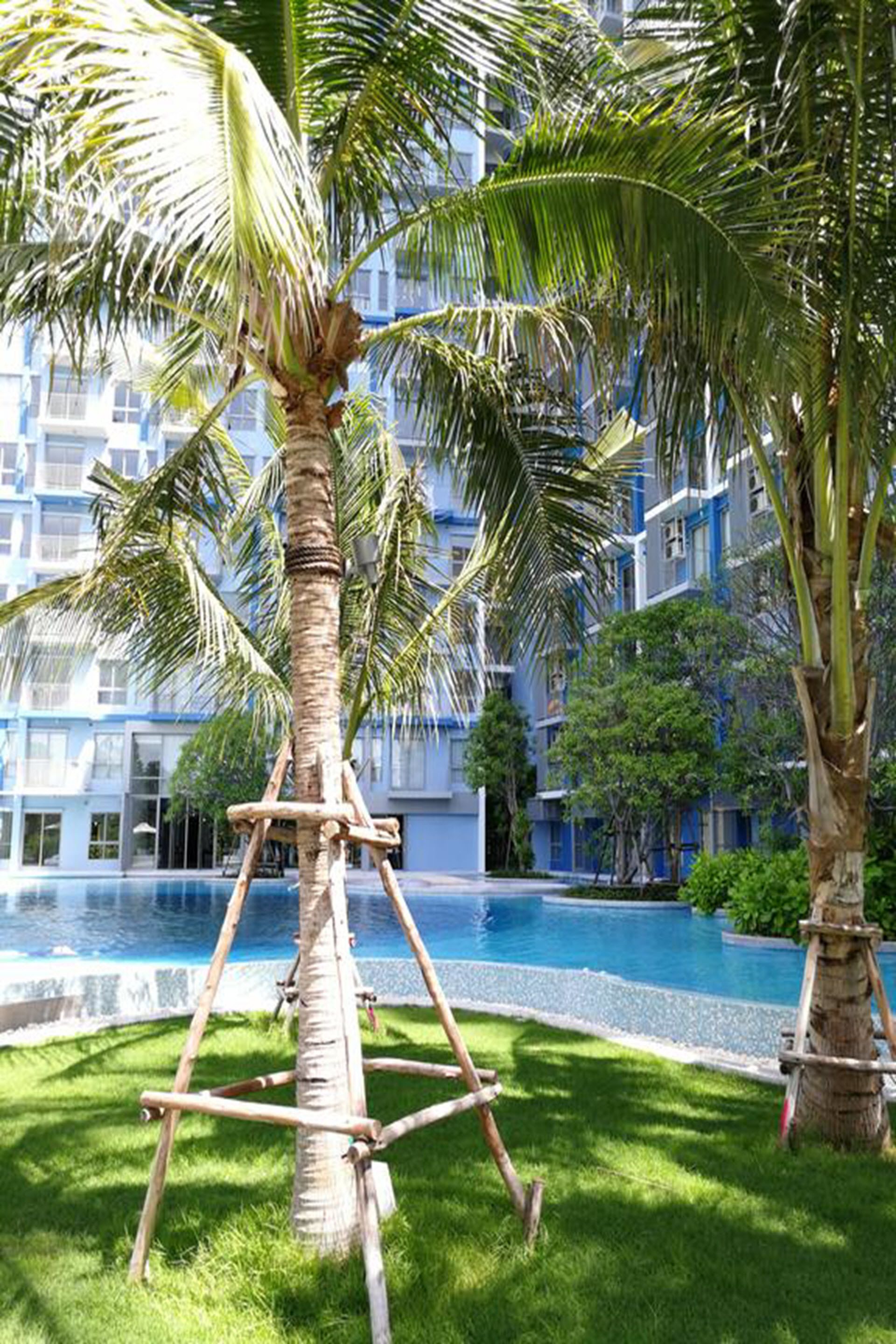 BLU-Pool Access