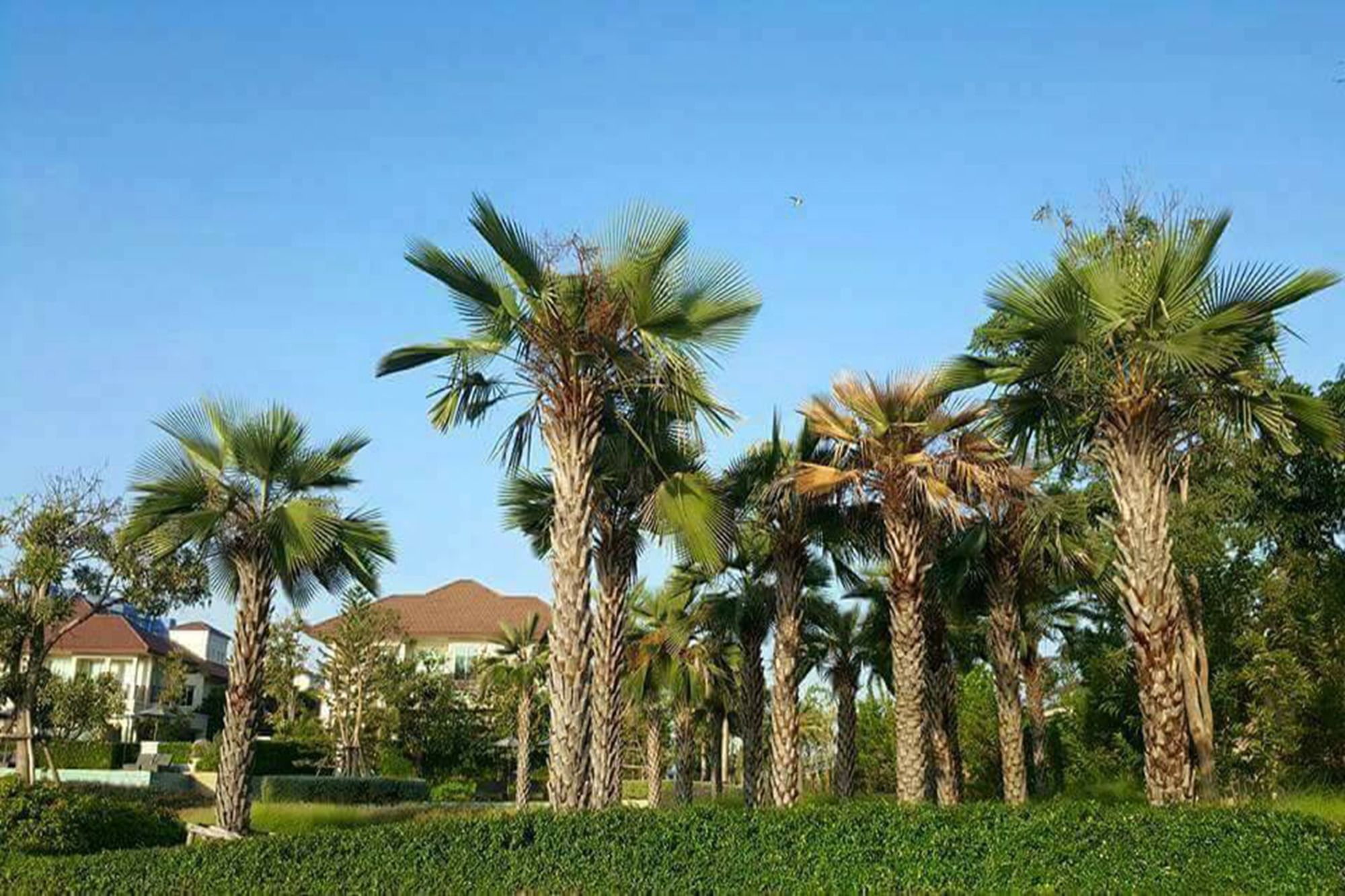 Panorama sea view at Boulevard Cha-am