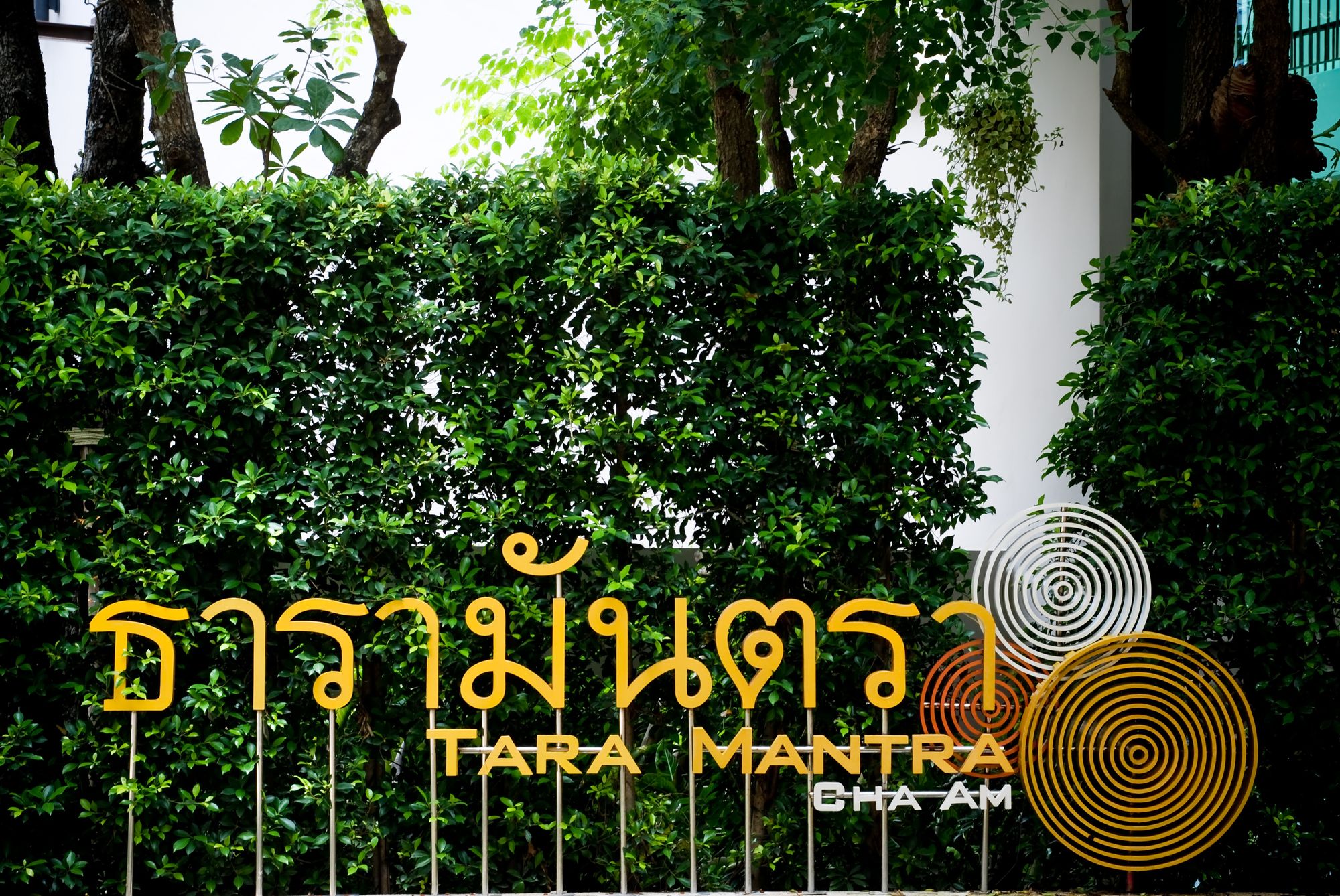 Tara Mantra Cha Am