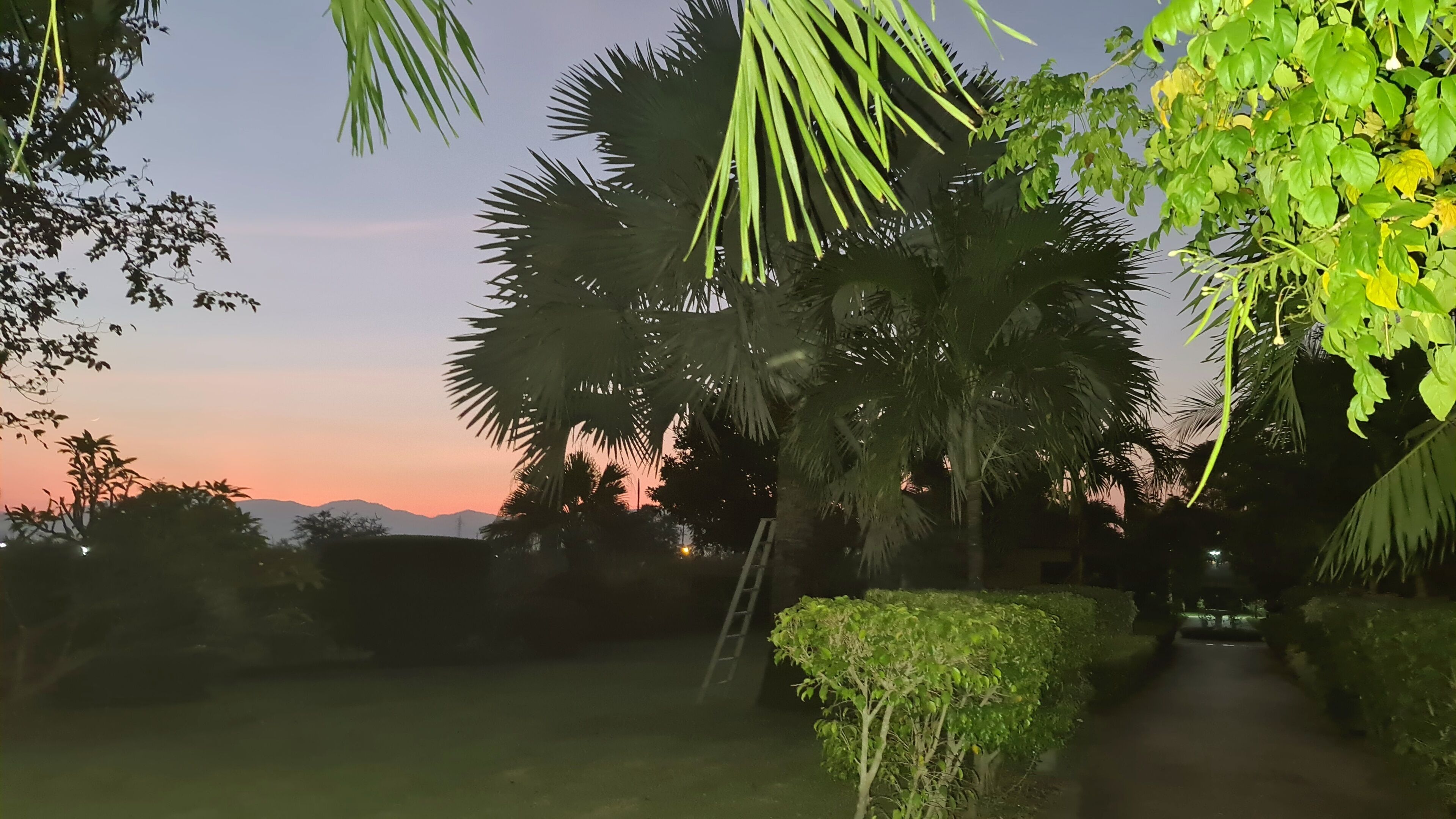Welcome to our Oasis The Beautiful Bungalow Green