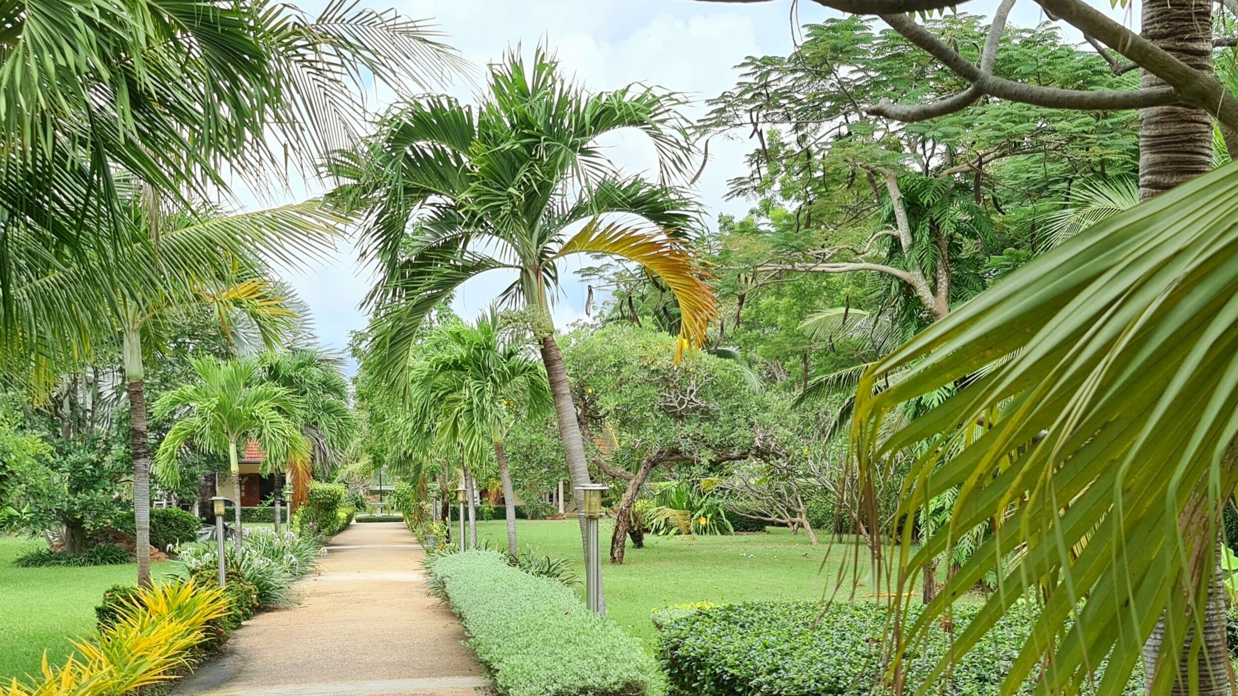 Welcome to our Oasis The Beautiful Bungalow Green