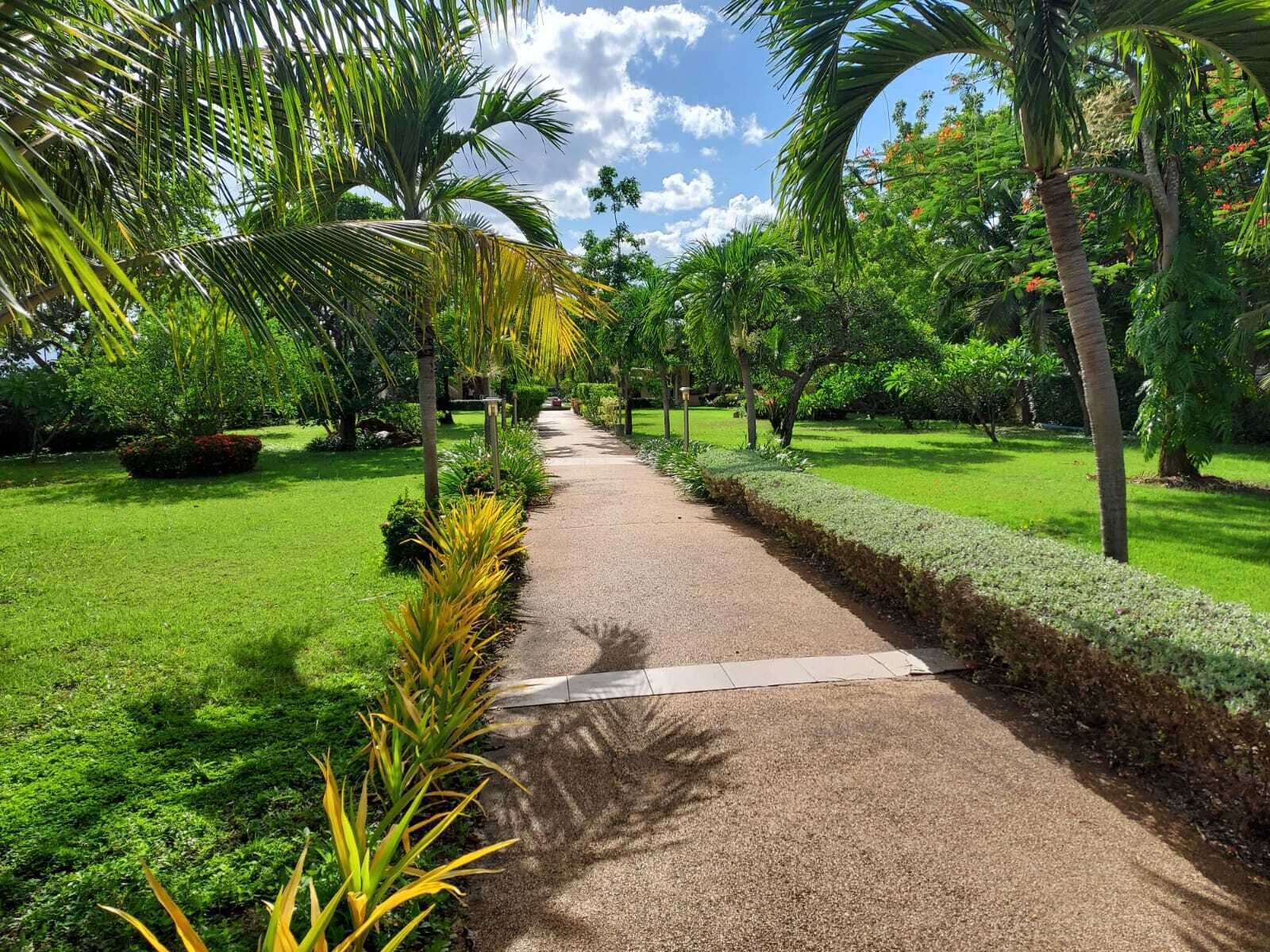 Welcome to our Oasis The Beautiful Bungalow Green