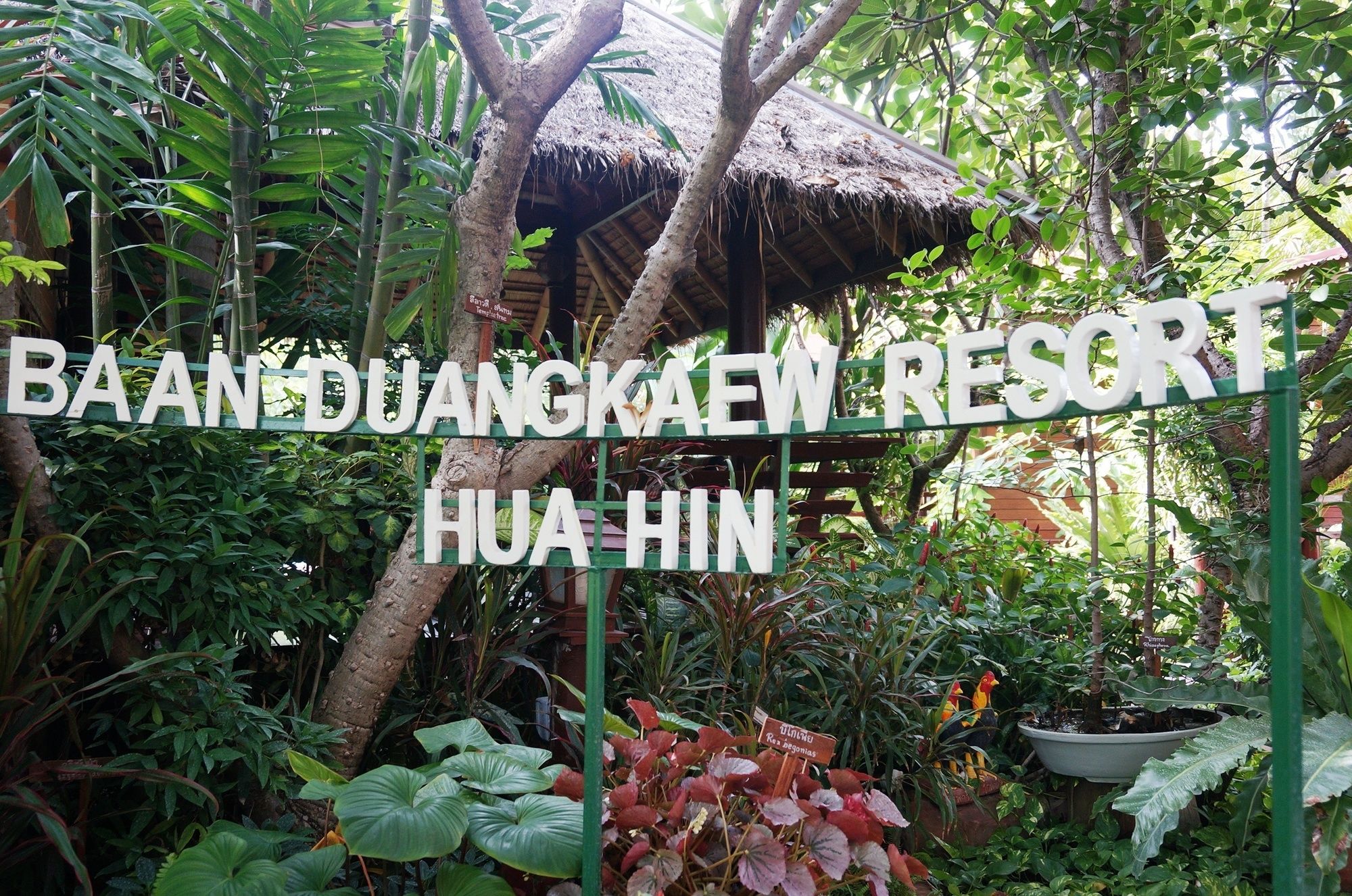 Baan Duangkaew Resort