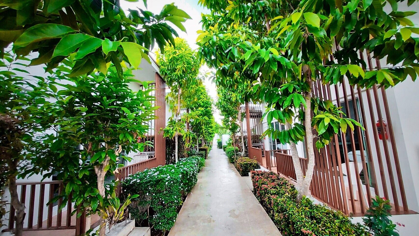 Baan Loksouylokchay