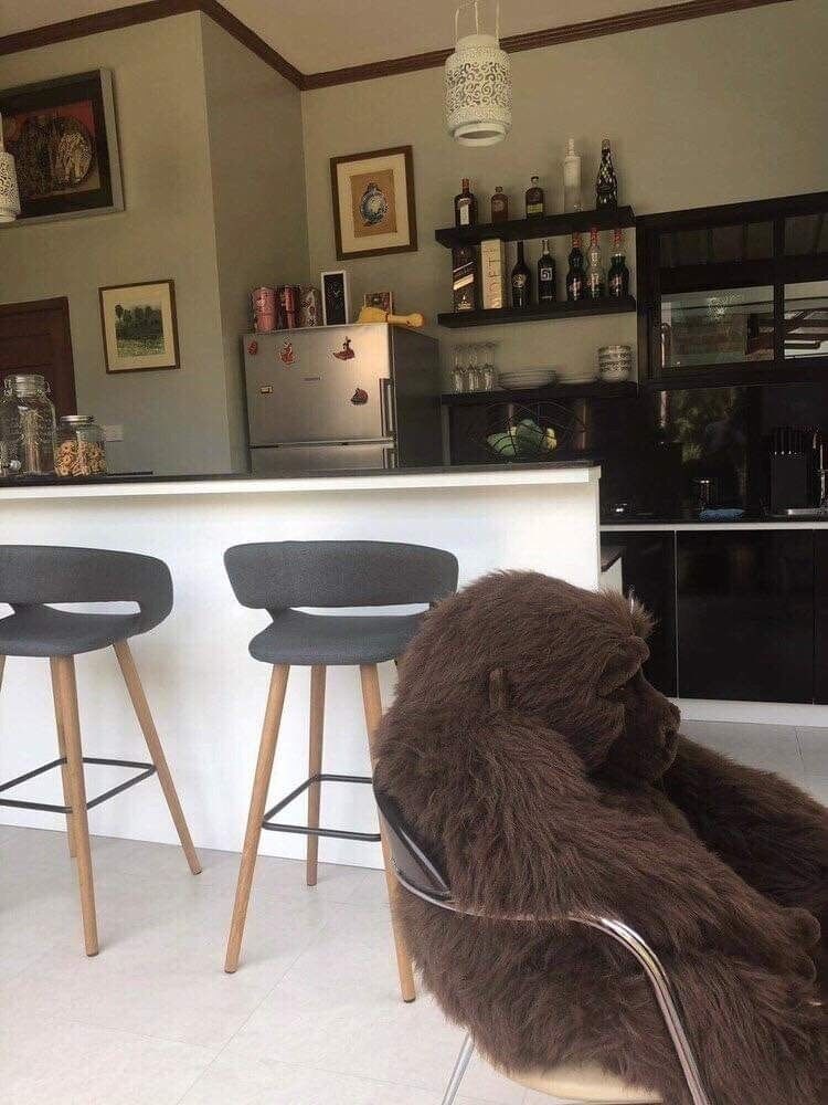 Barbe La Maison