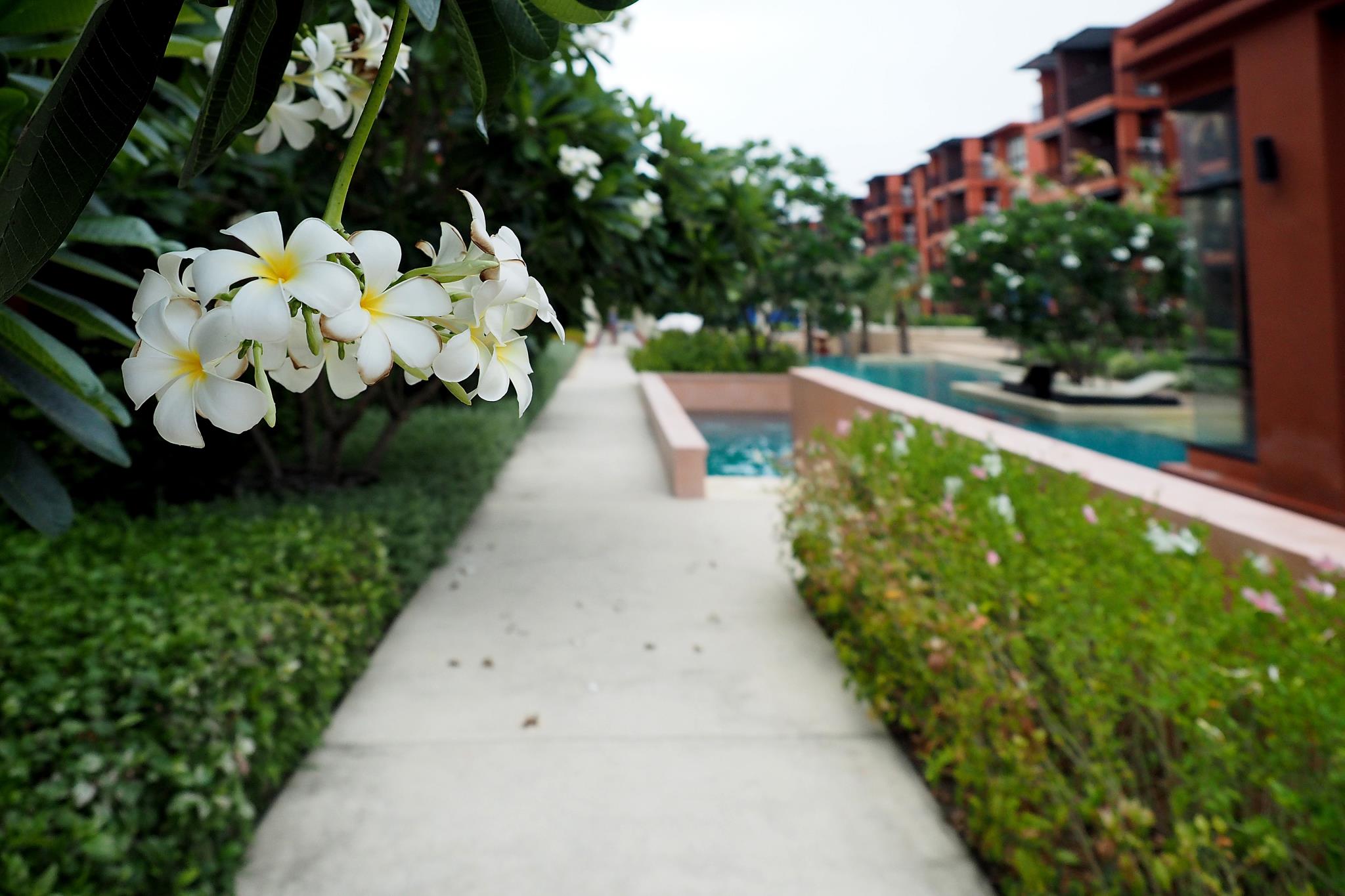 Bluroc Huahin Condo By Pat