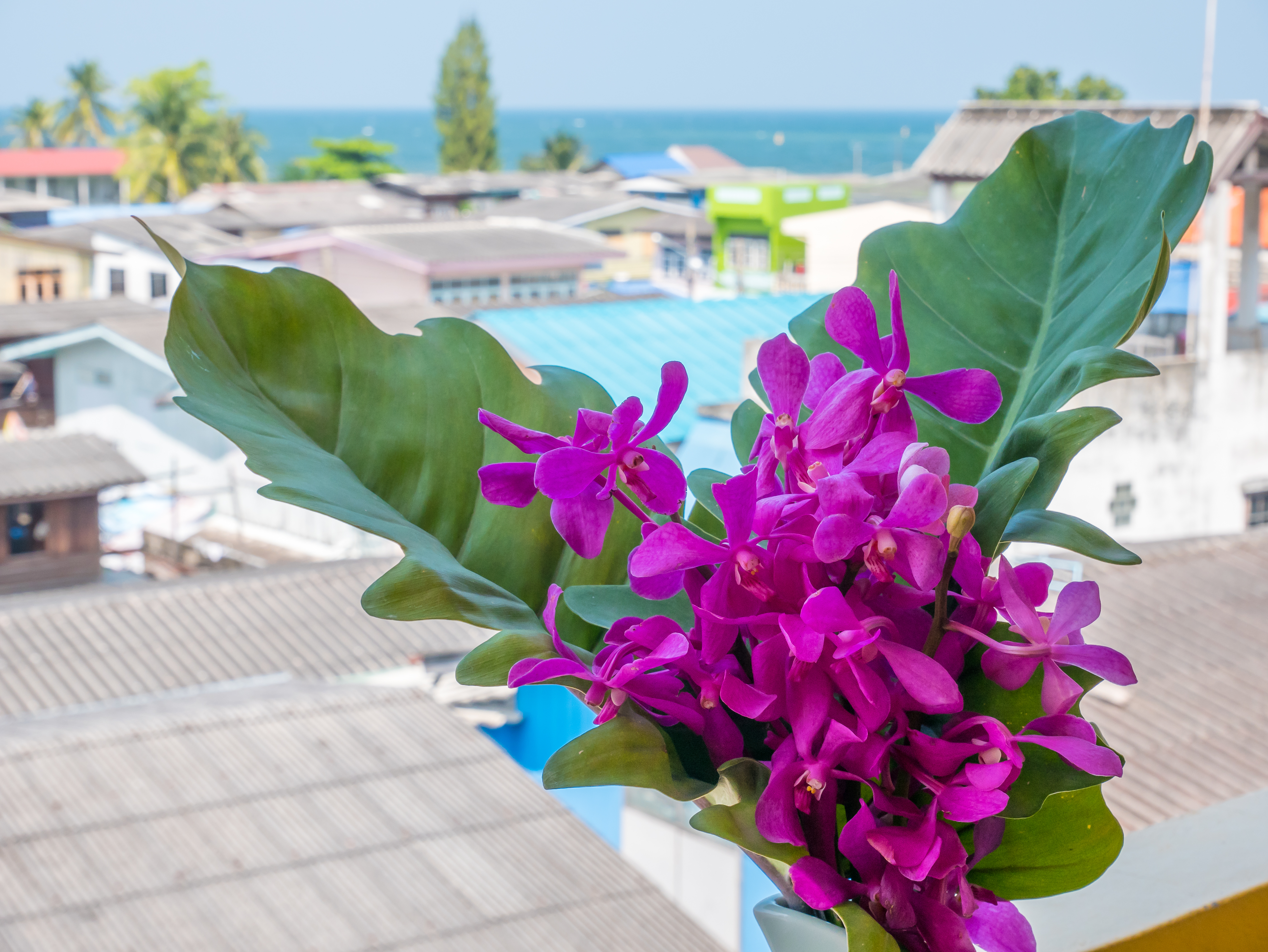 Chomsin Hua Hin