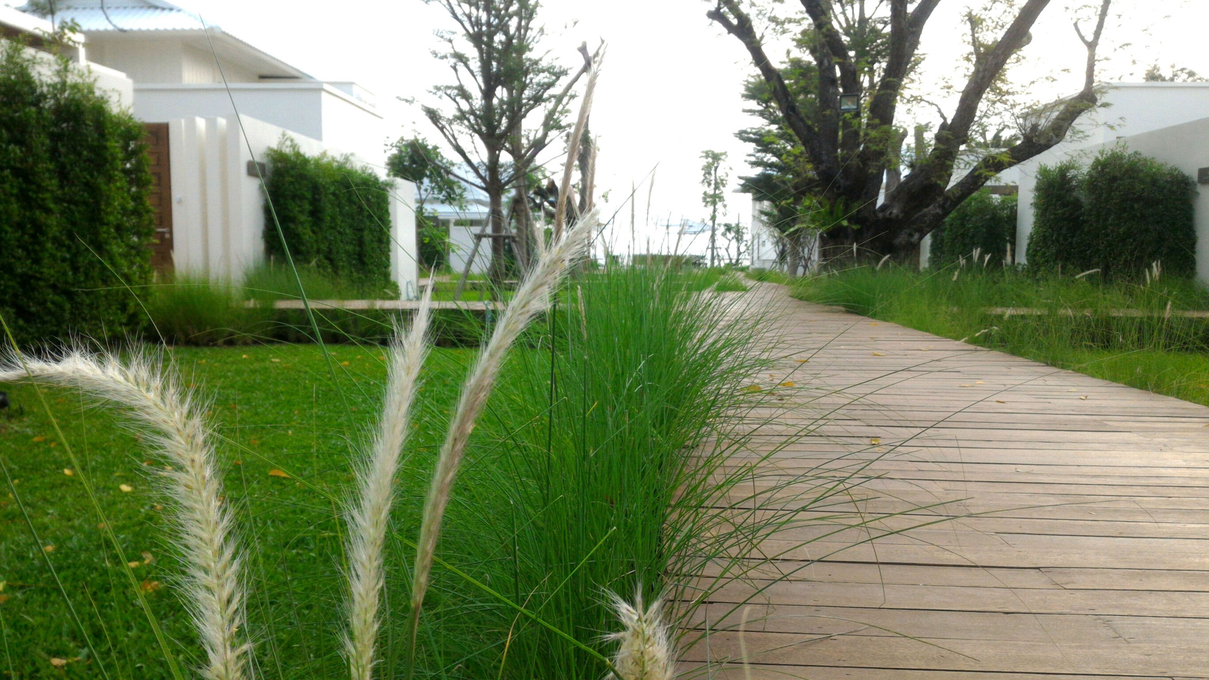 De Chaochom Hua Hin
