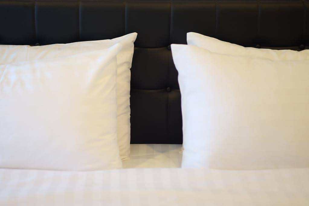 Euro Bakery Guesthouse