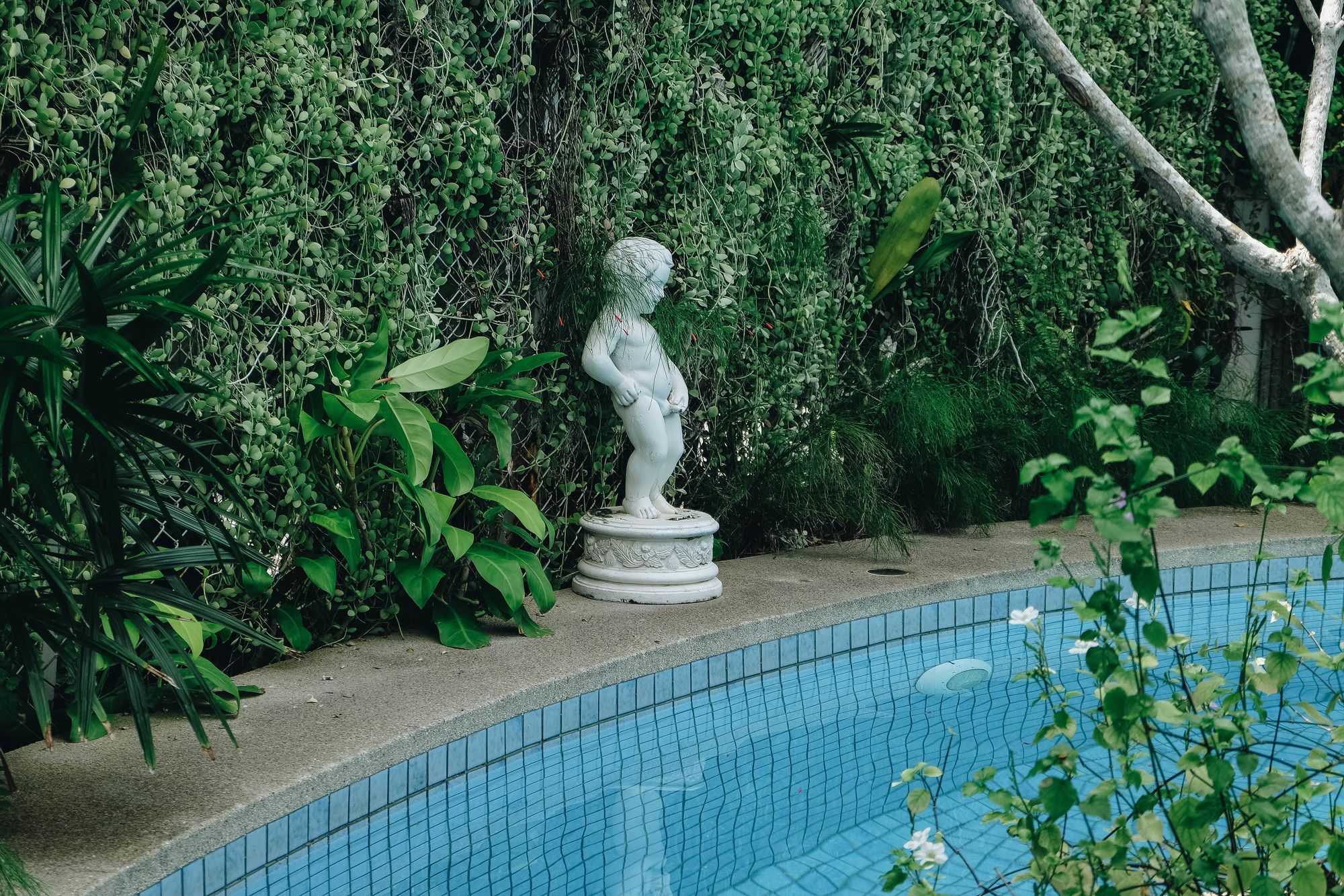 Green Gallery