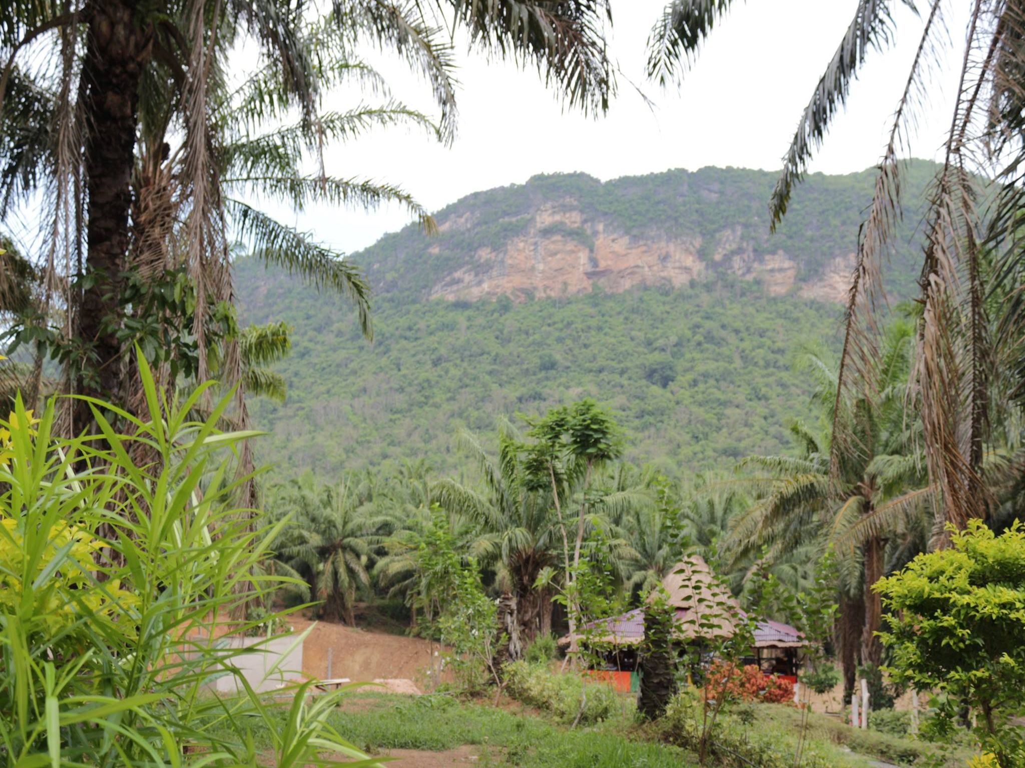 Ingkhao Glamping Resort