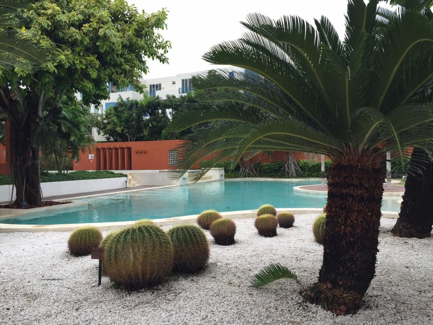 Las Tortugas Condominium