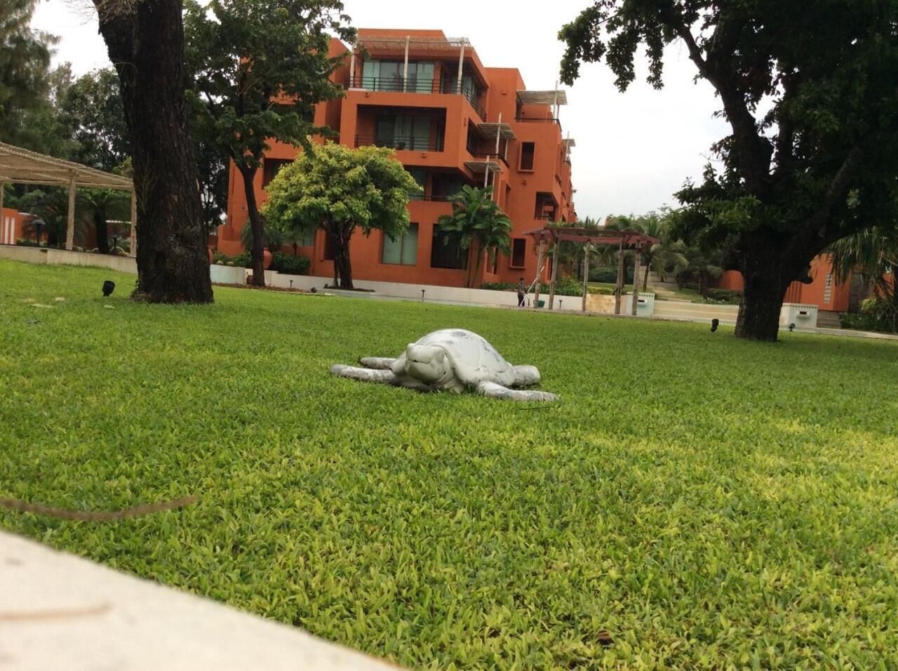 Las Tortugas Condominium